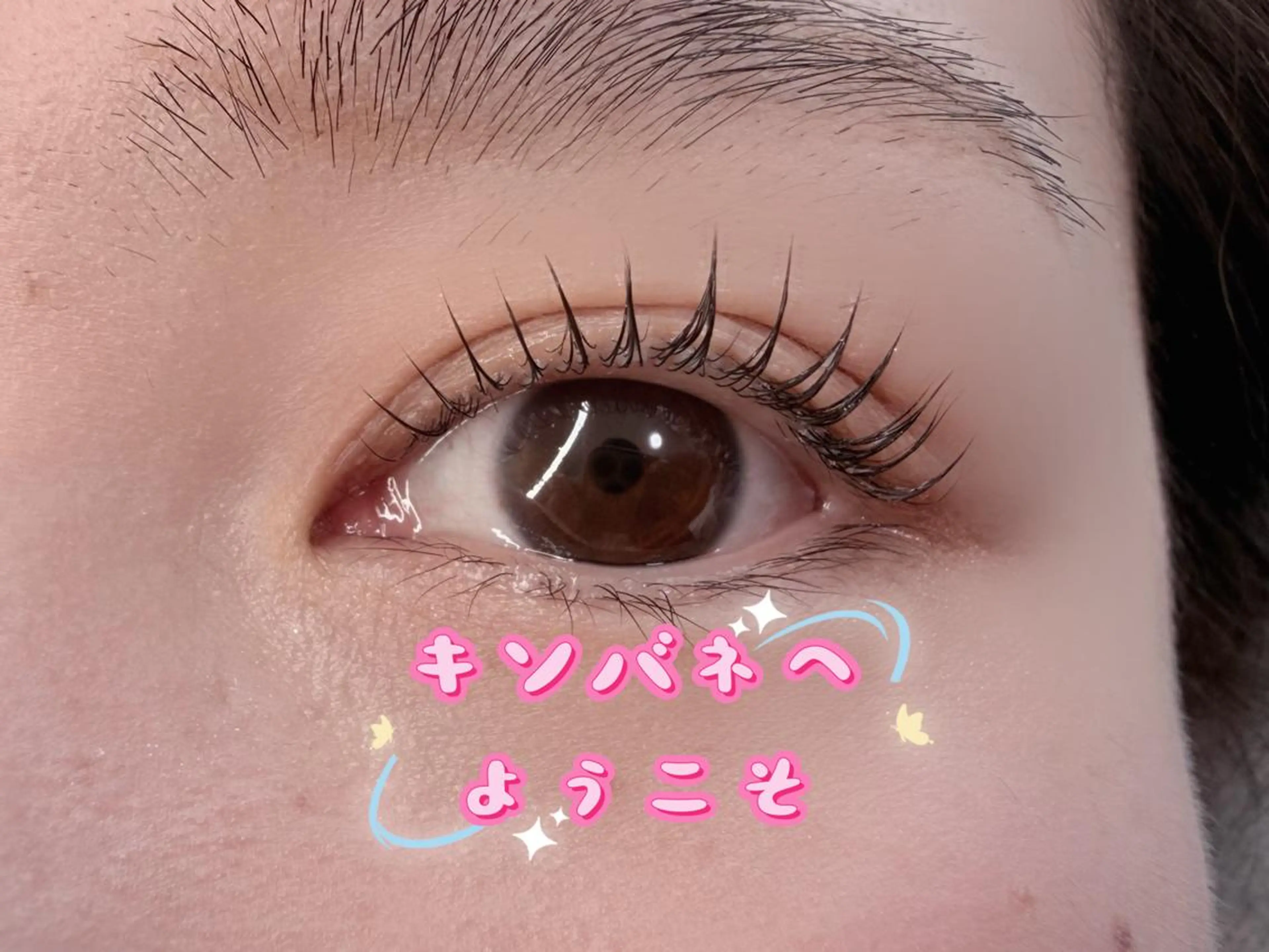 マツエク・マツパ 韓国風マツエク パリジェンヌラッシュリフト まつげパーマ 下まつげエクステ 一重×まつ毛パーマ マツパ 高田 玲奈のマツエク・マツパデザイン