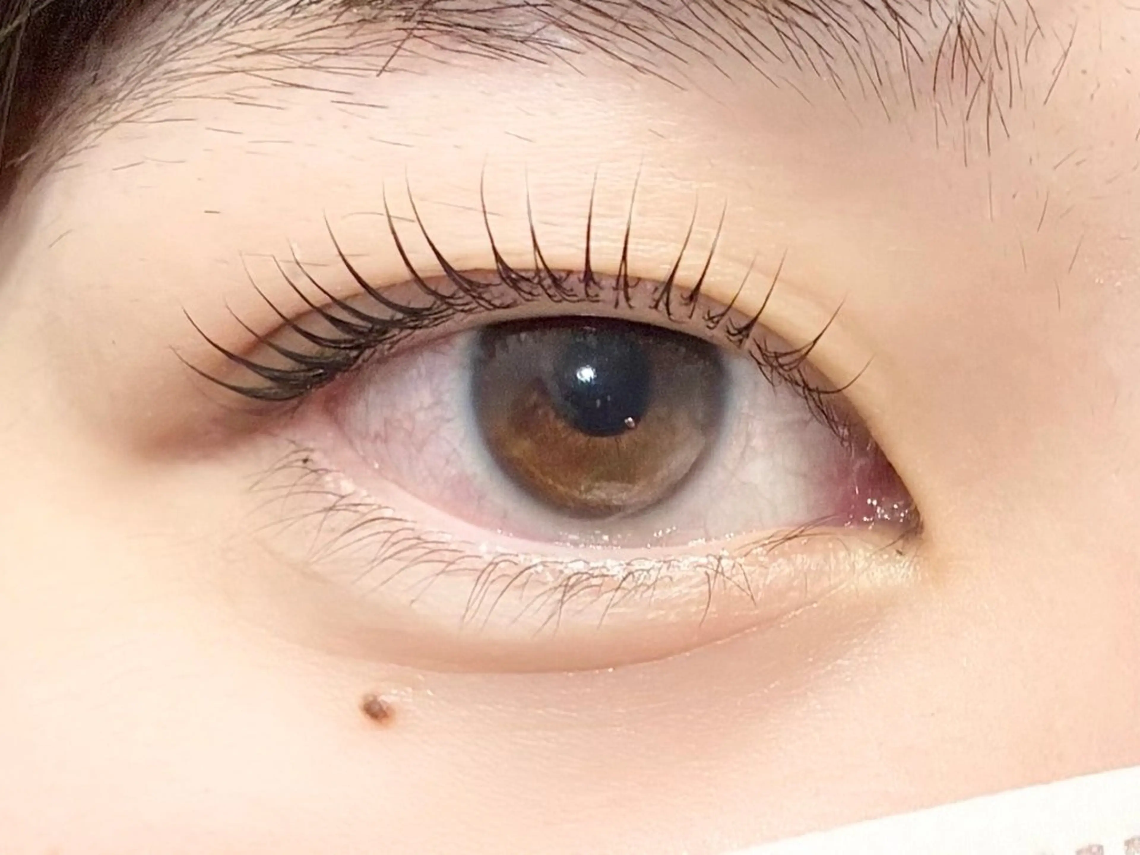 マツエク・マツパ ナチュラル マツパ 中村彩香 (エフドゥ)のマツエク・マツパデザイン