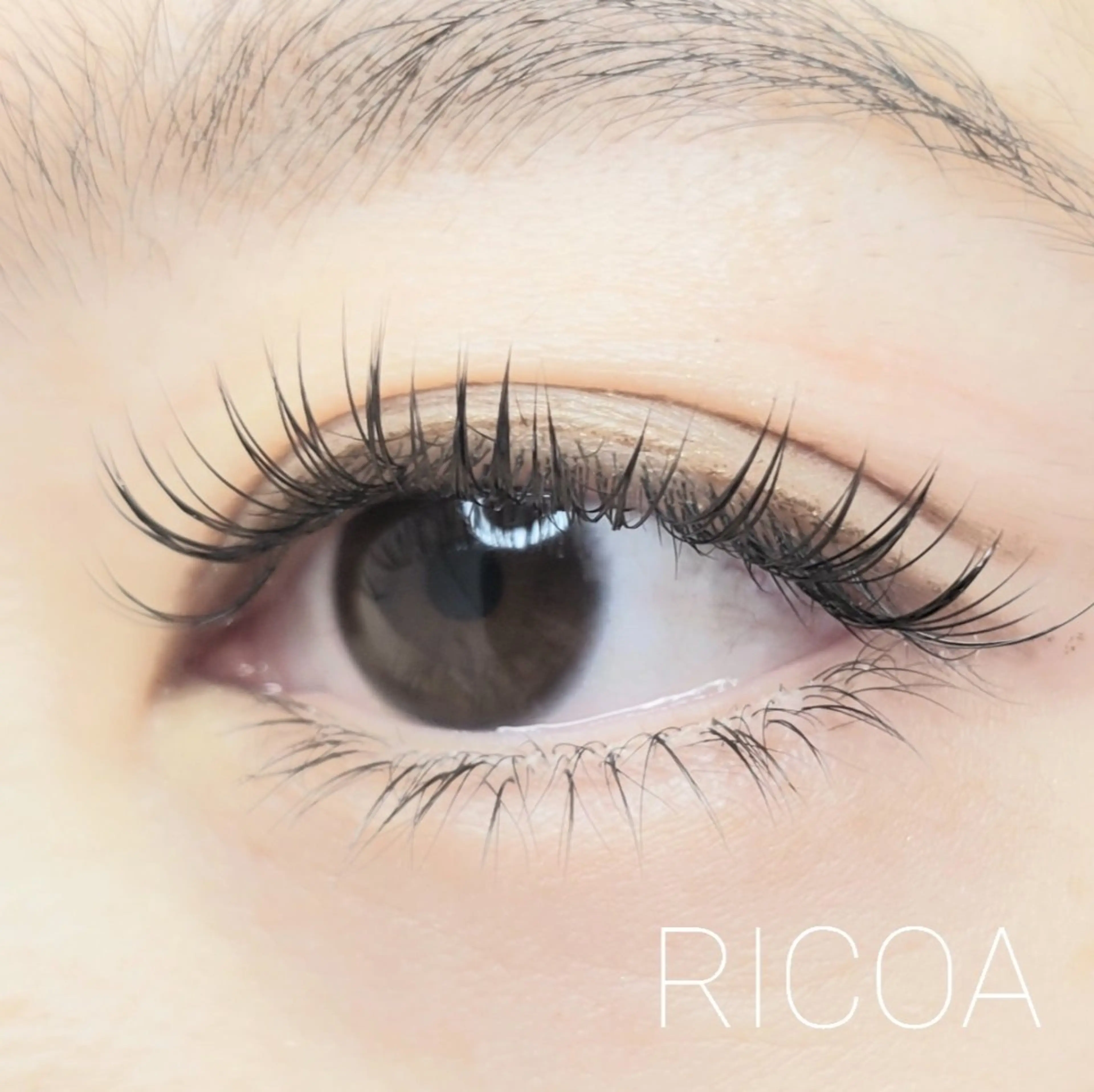 ダブルフラットラッシュ80束(160本)の写真