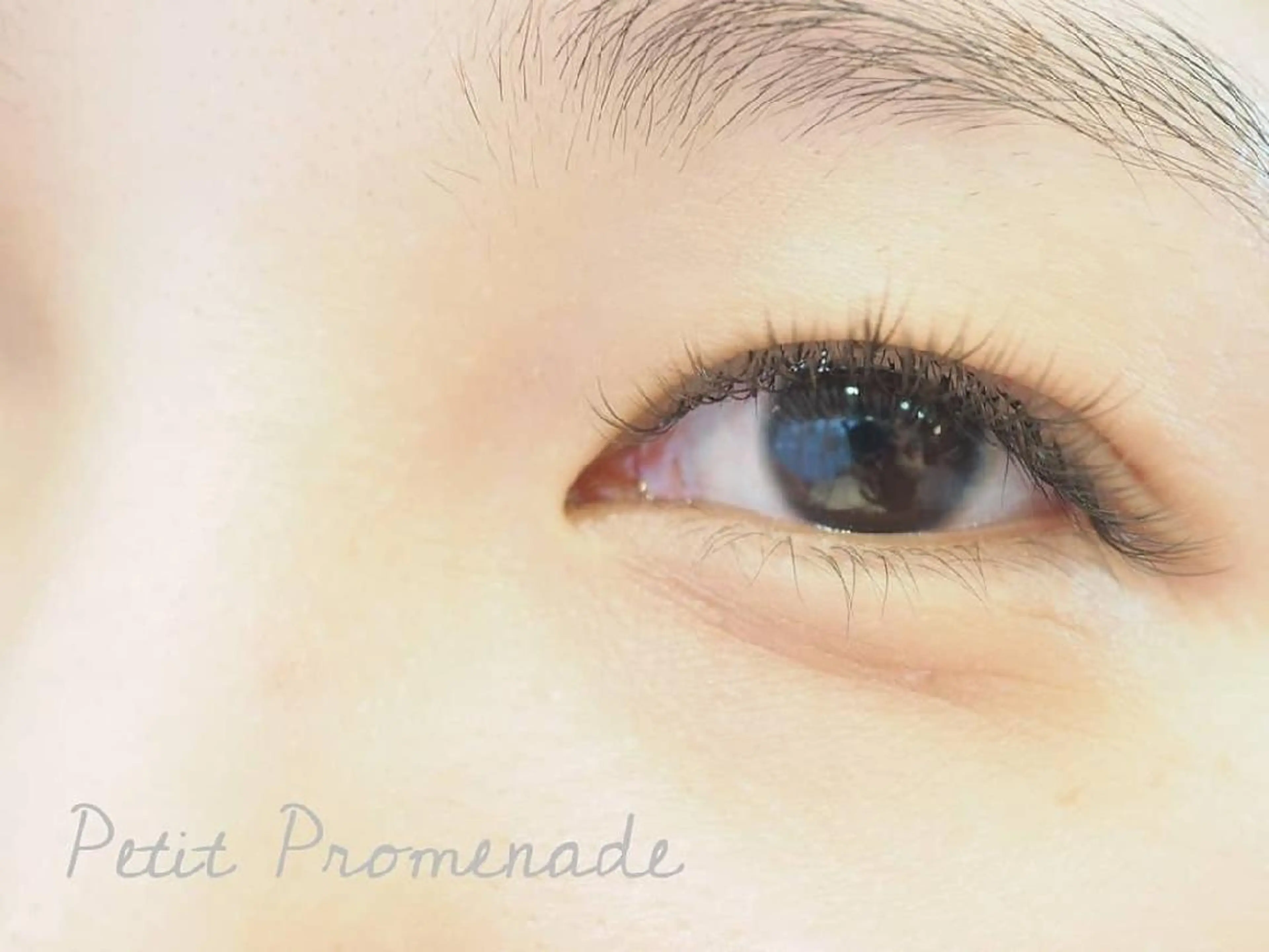 マツエク・マツパ MIZUKI （アイリスト）のマツエク・マツパデザイン