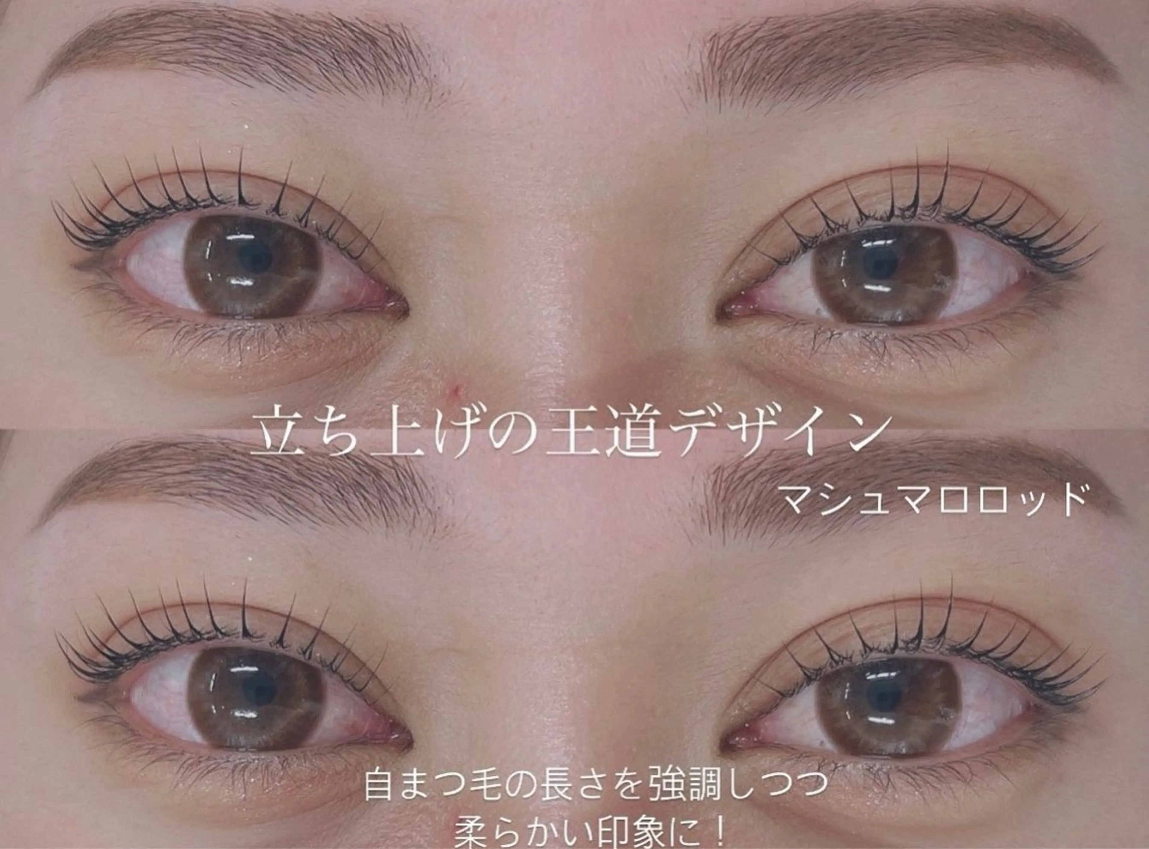 マツエク・マツパ Shucre名駅🖤 MOMOKAの眉毛・アイブロウイメージ