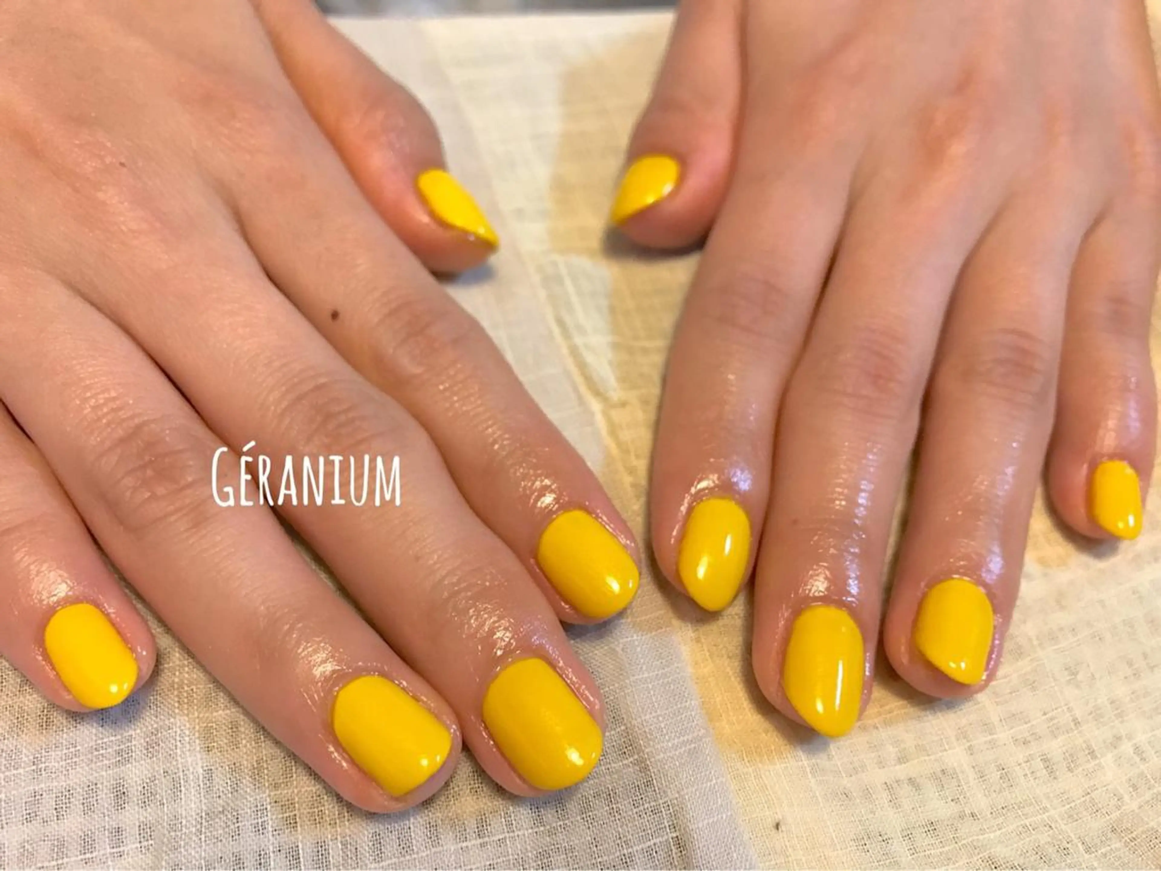 ワンカラー/オフ込み・ロング料金有りの写真