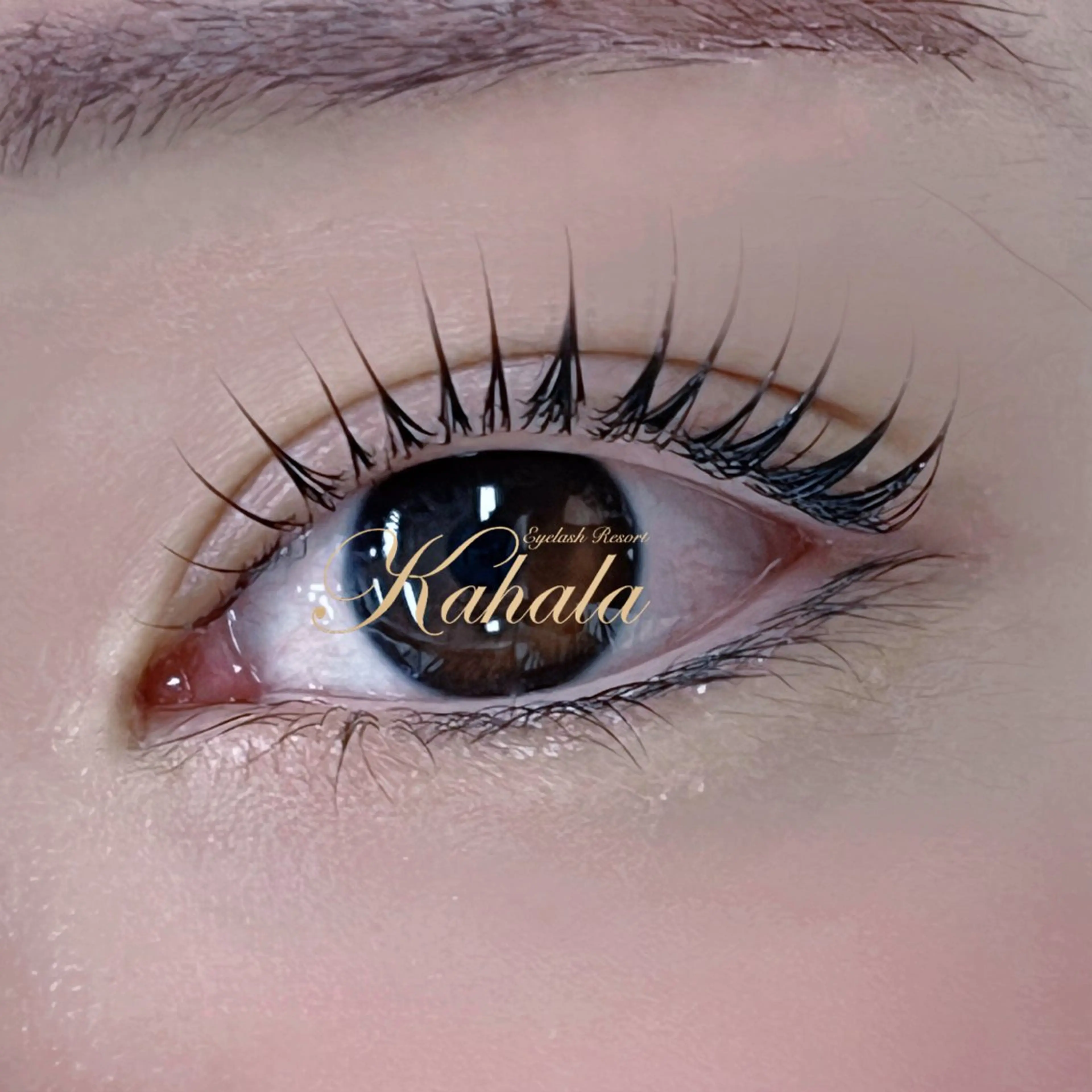 マツエク・マツパ パリジェンヌラッシュリフト R🌹 ⁺⊹˚.のマツエク・マツパデザイン