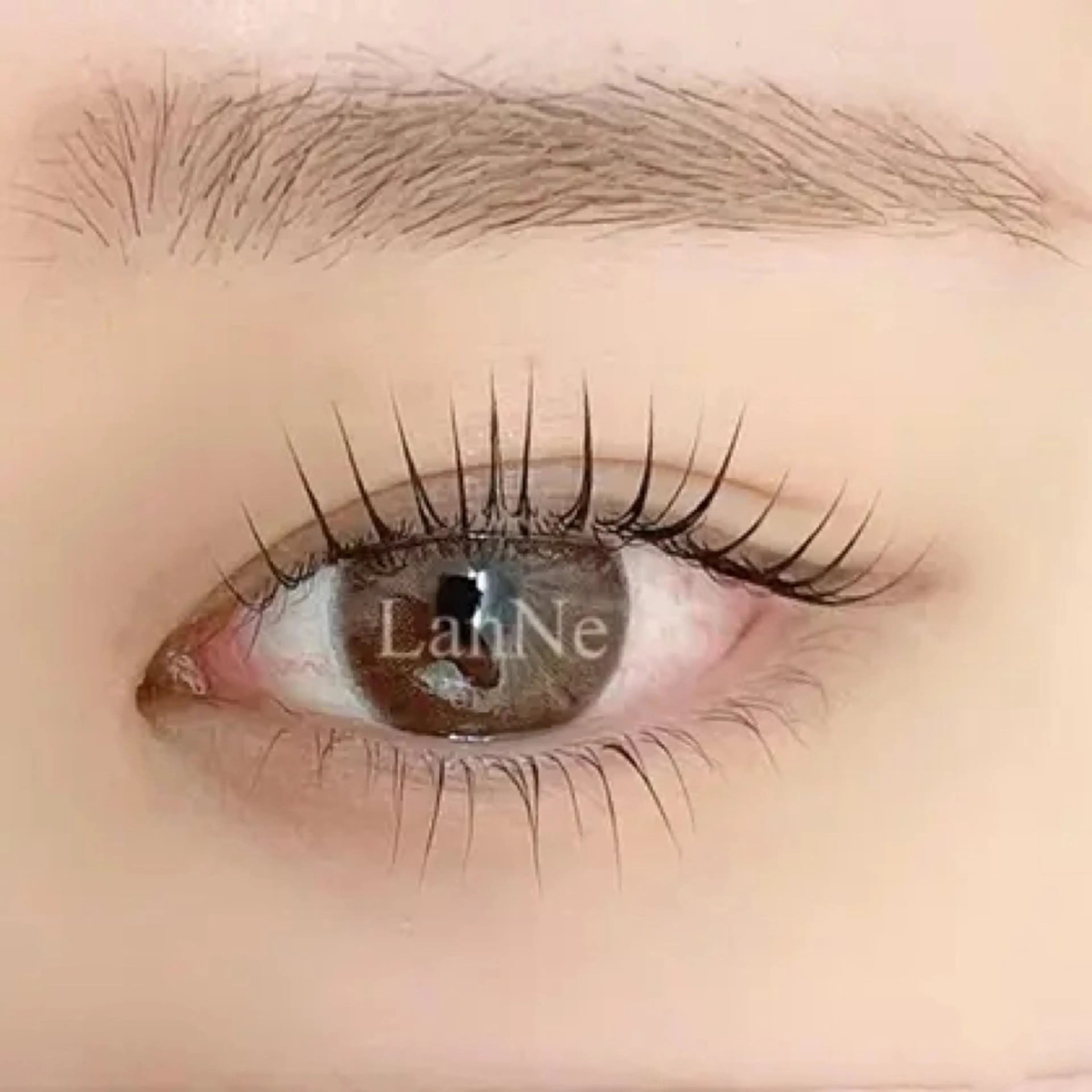 マツエク・マツパ パリジェンヌラッシュリフト LanNe Asukaの眉毛・アイブロウイメージ