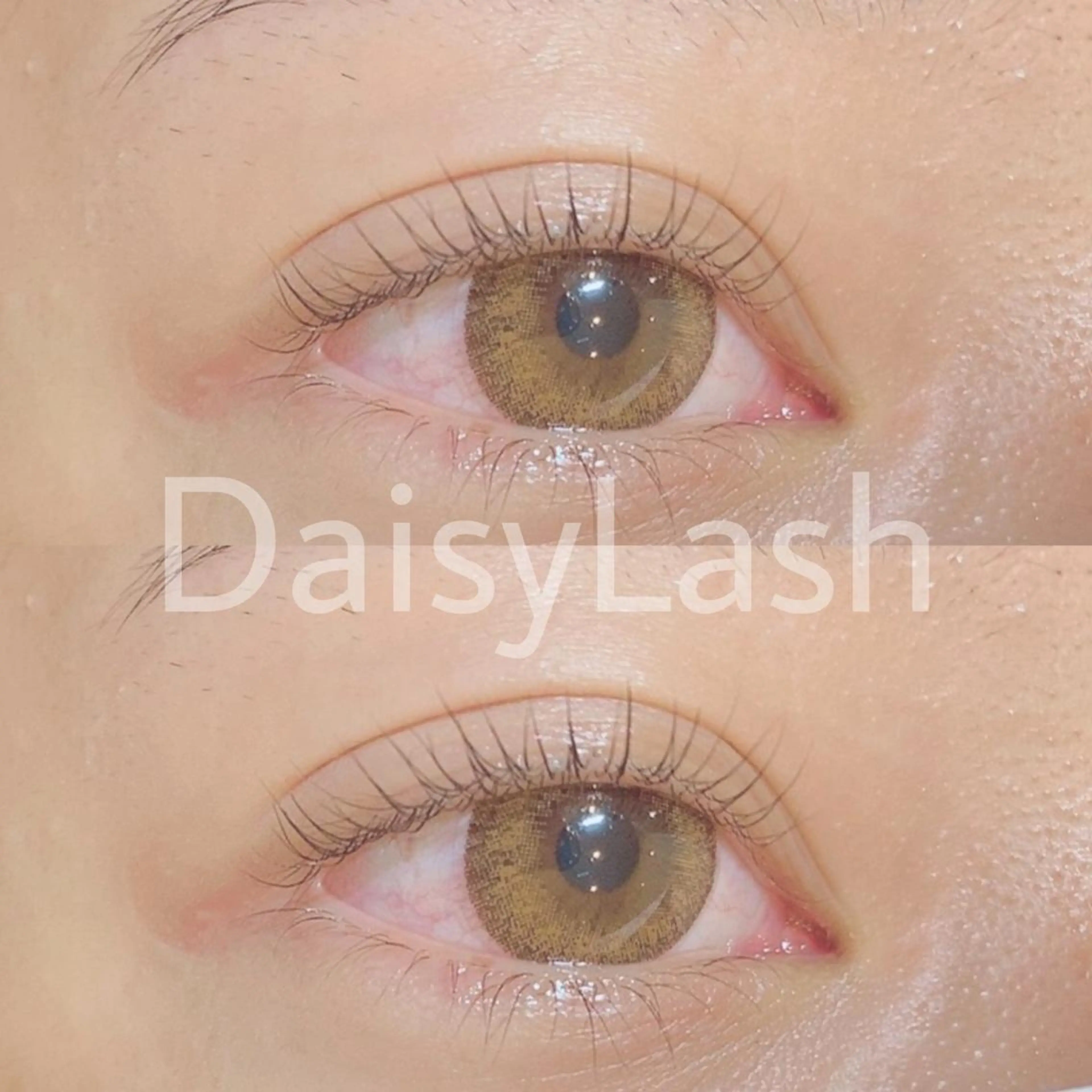 マツエク・マツパ DaisyLash 京橋店のマツエク・マツパデザイン