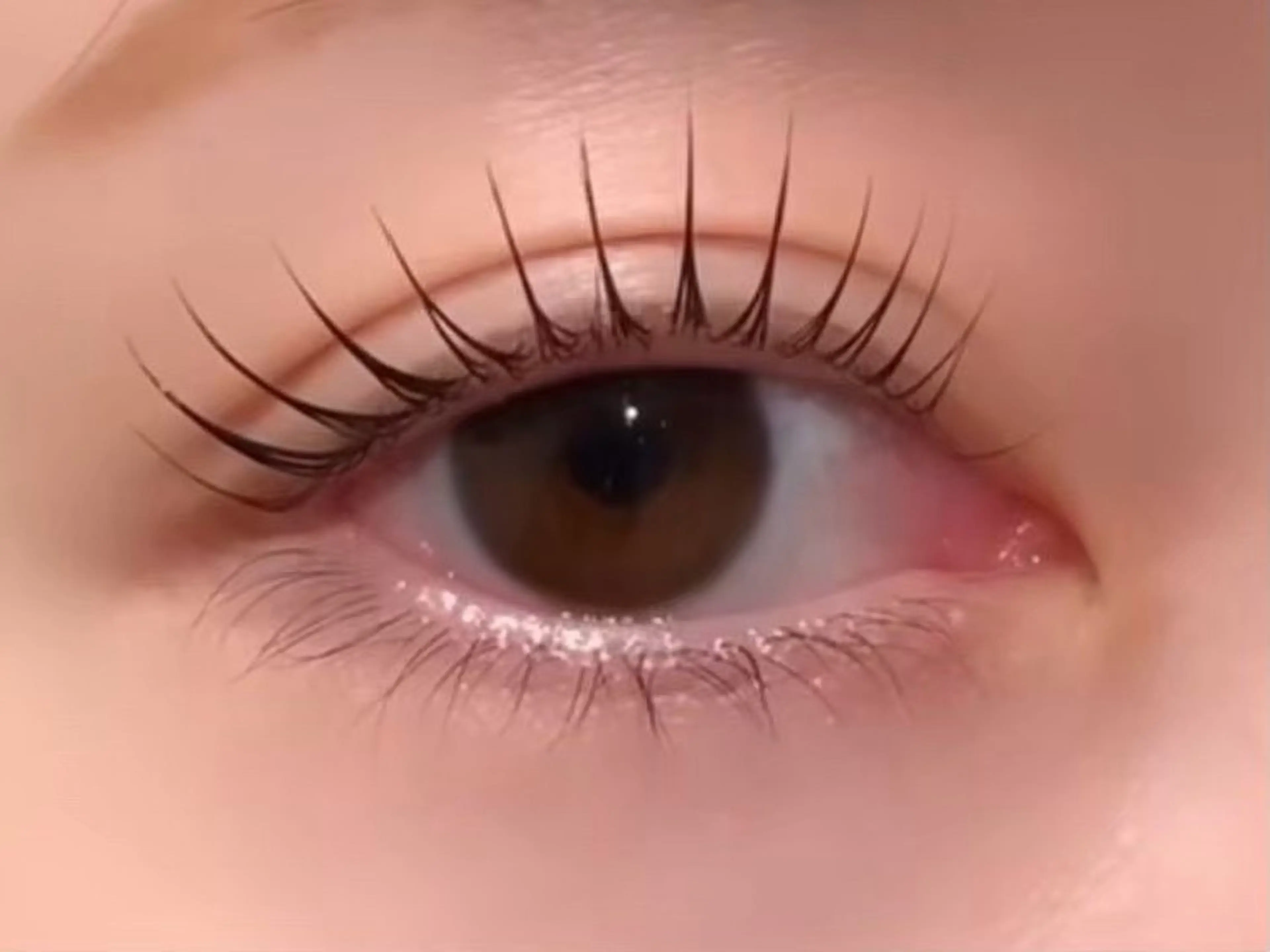 マツエク・マツパ 束感まつ毛 フラットラッシュ 韓国風マツエク ナチュラル パリジェンヌラッシュリフト なつみ🐈⬛🎀 束感まつ毛/梅田🎵のマツエク・マツパデザイン