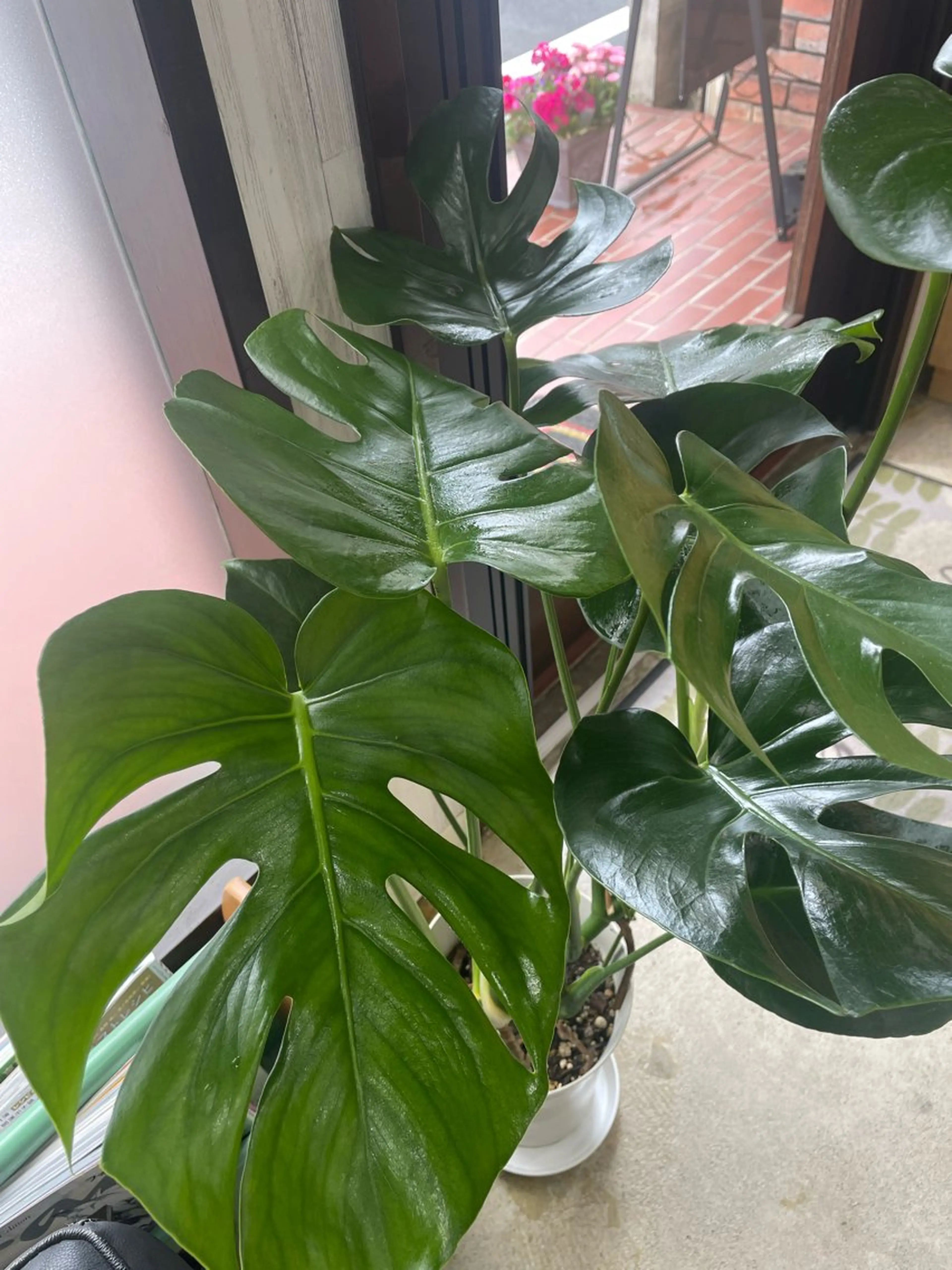 arm in arm ︎✿Yamamotoのマツエク・マツパデザイン