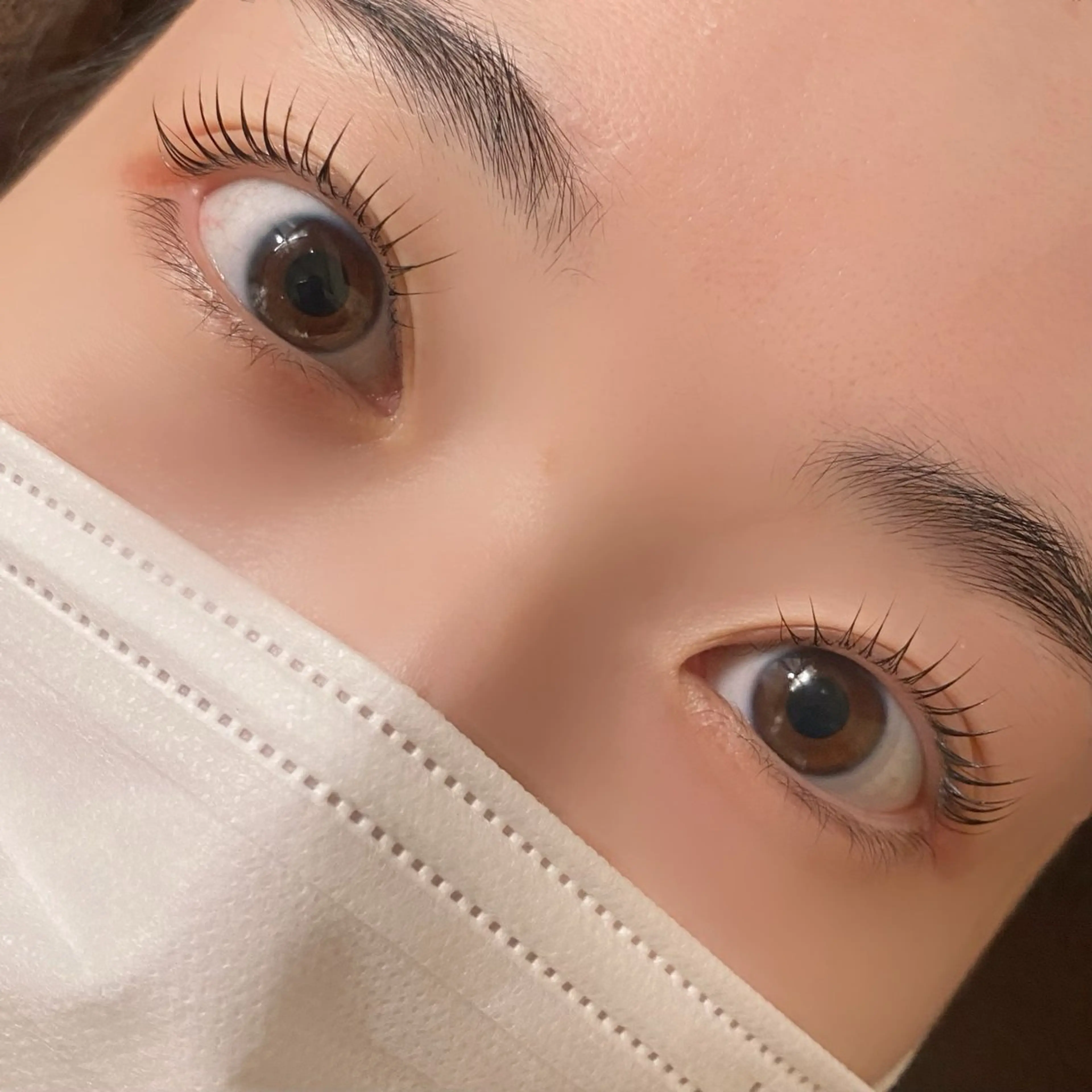 上下ラッシュリフト※コーティング仕上げの写真