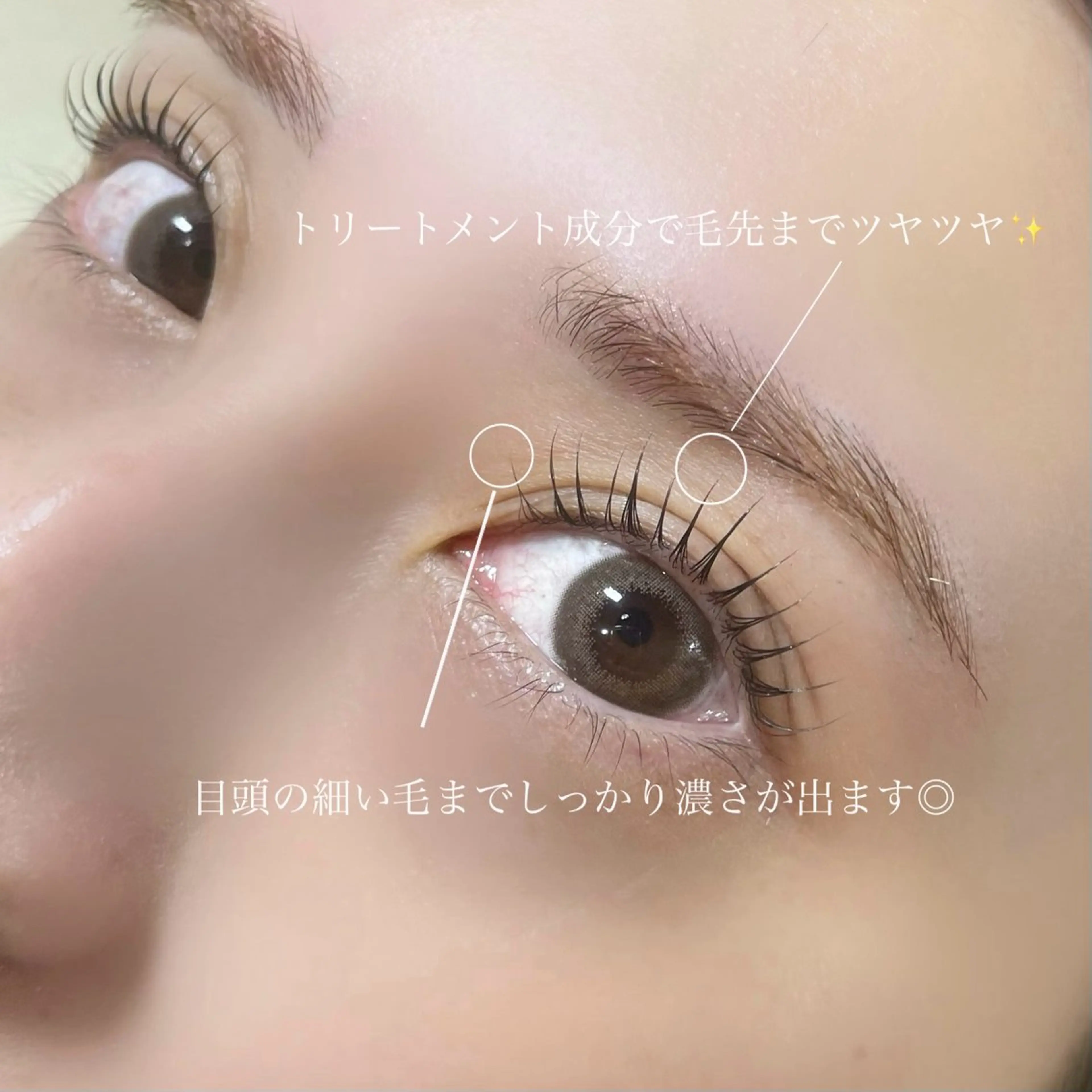 マツエク・マツパ salut ayakaのマツエク・マツパデザイン