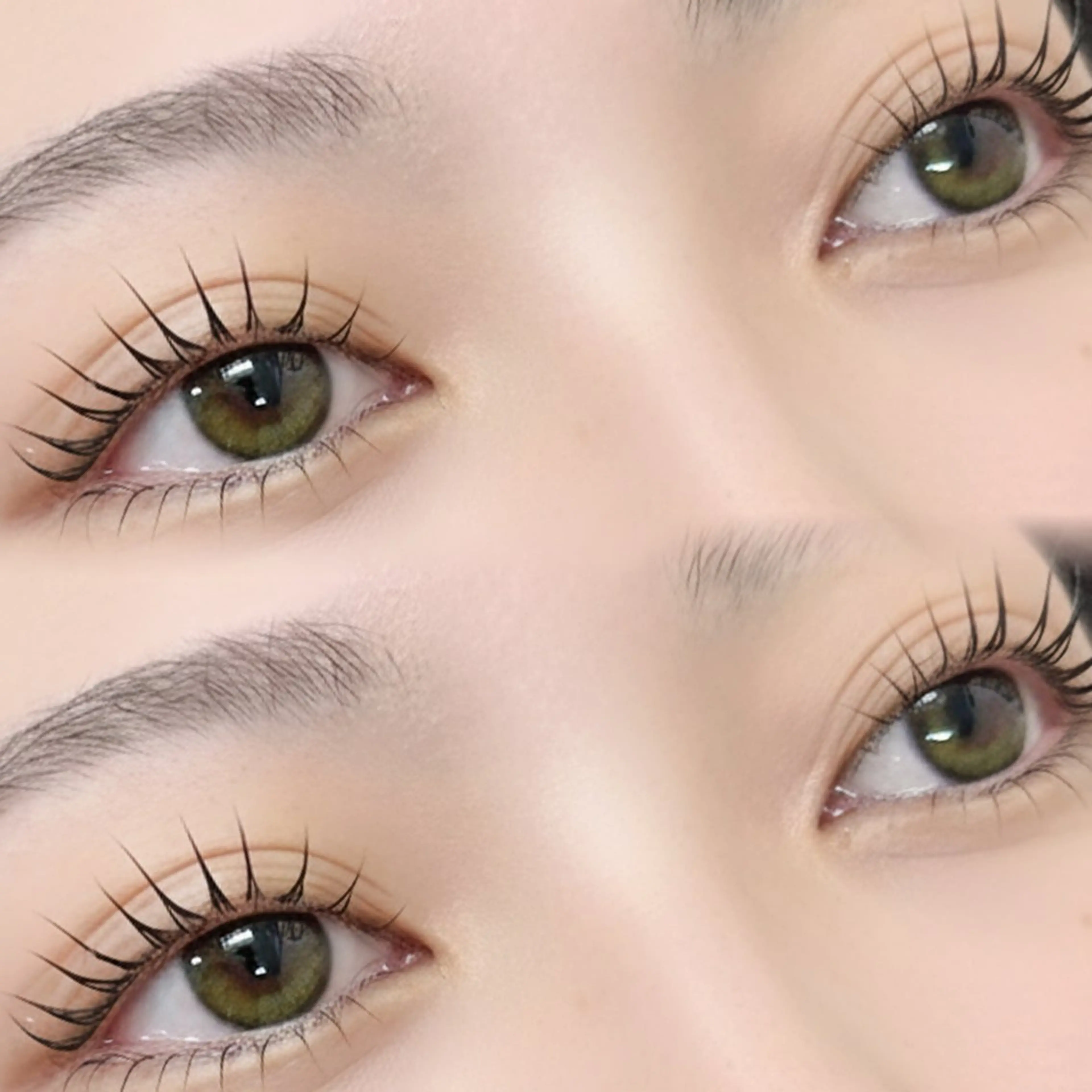 ❣️4/14限定❣️まつげパーマ[上]+眉毛WAX¥10300→8000🍀高円寺🤍の写真