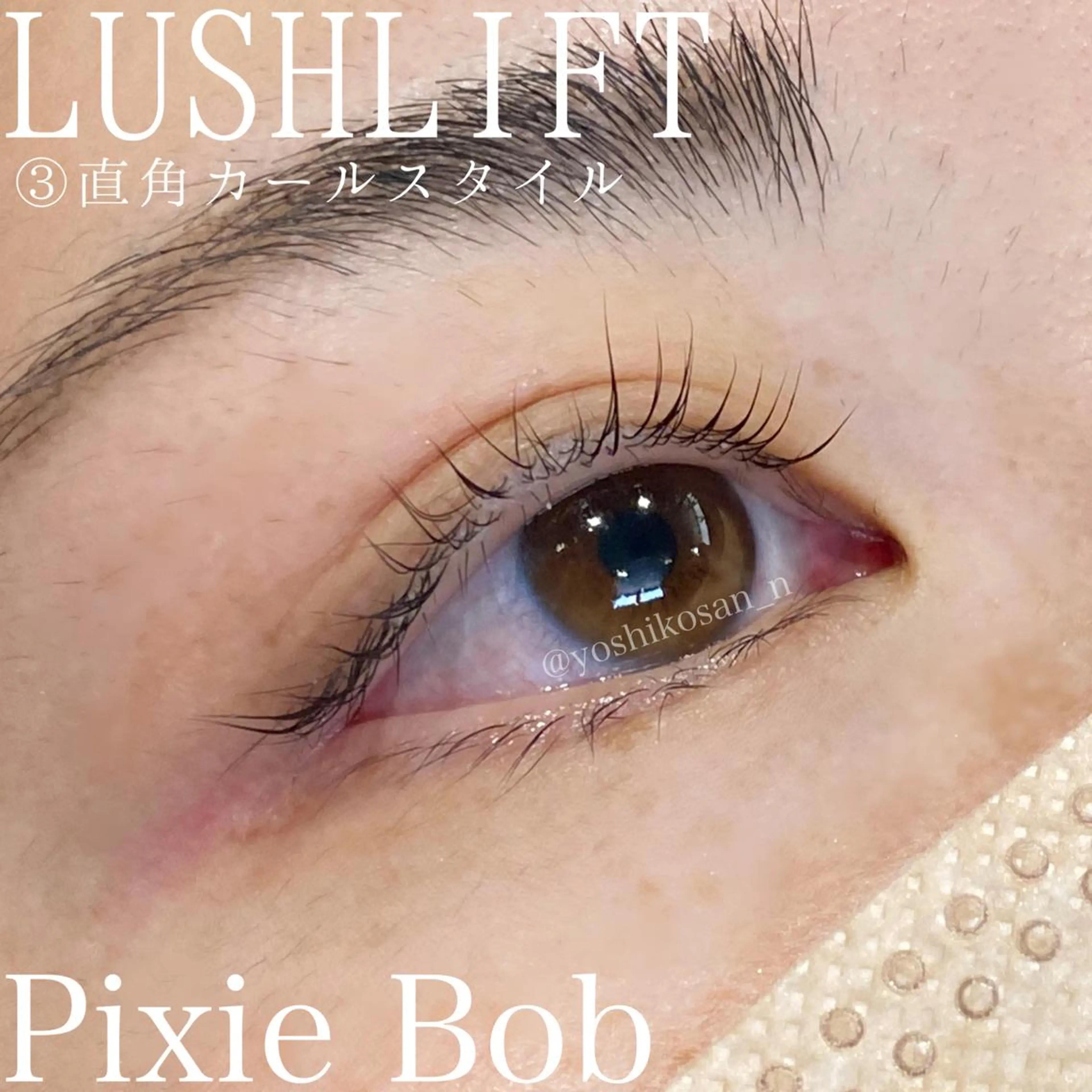 マツエク・マツパ カラーマツエク Pixie Bob 🐈‍⬛　位田のマツエク・マツパデザイン