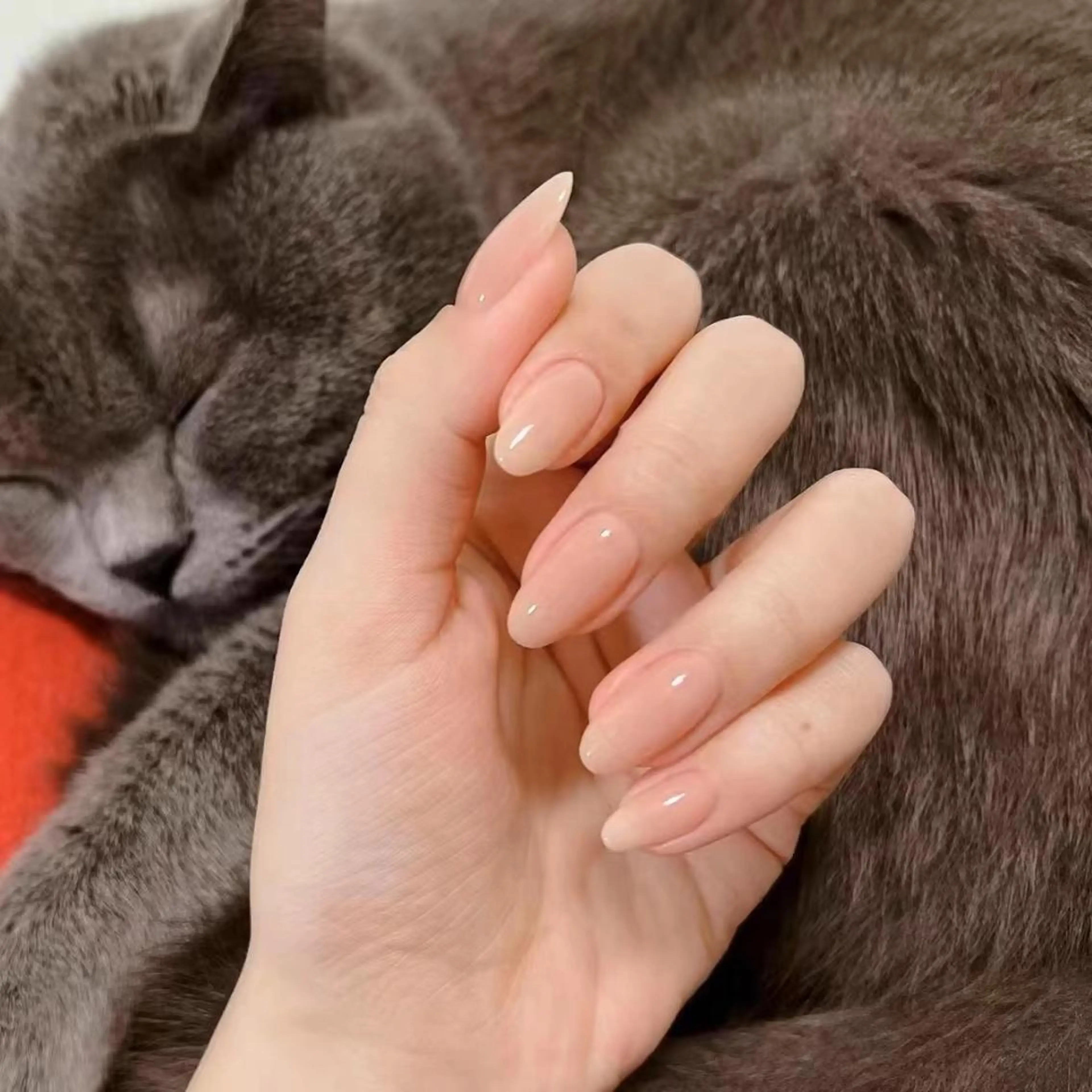 キッズ ハンドネイル Molly _nailのネイルデザイン