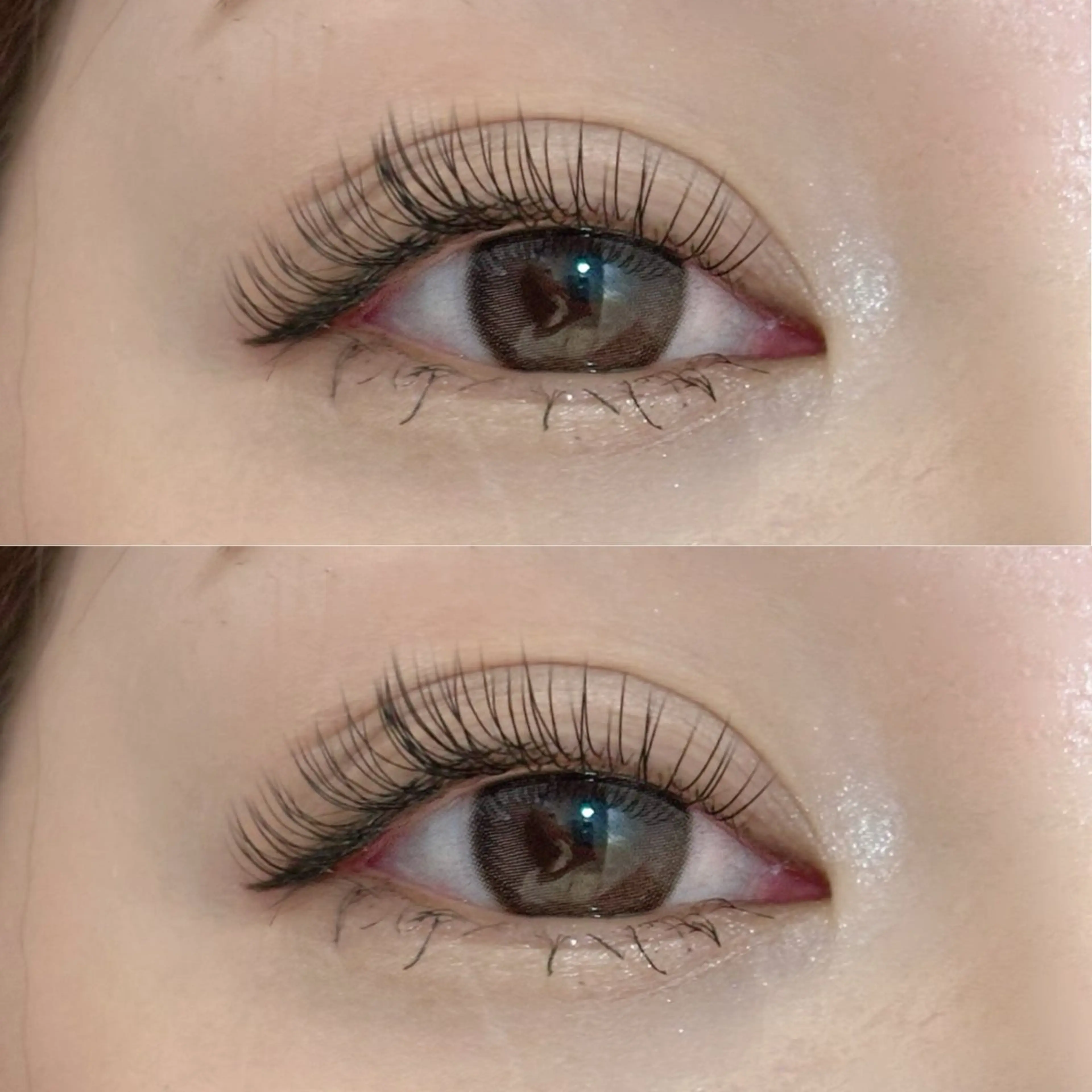 【オフ込】フラットラッシュ100本の写真