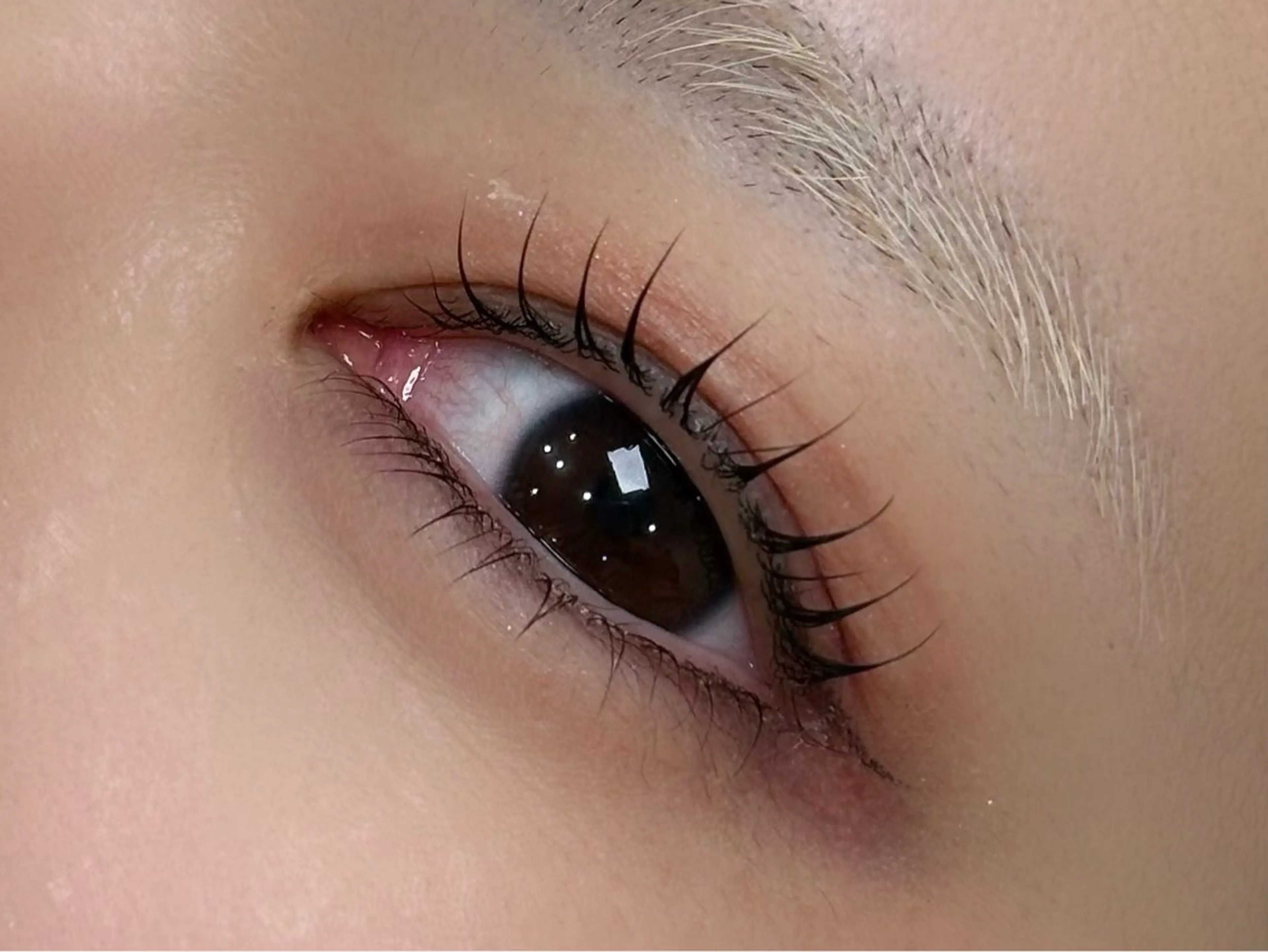 マツエク・マツパ 田中 怜奈の眉毛・アイブロウイメージ