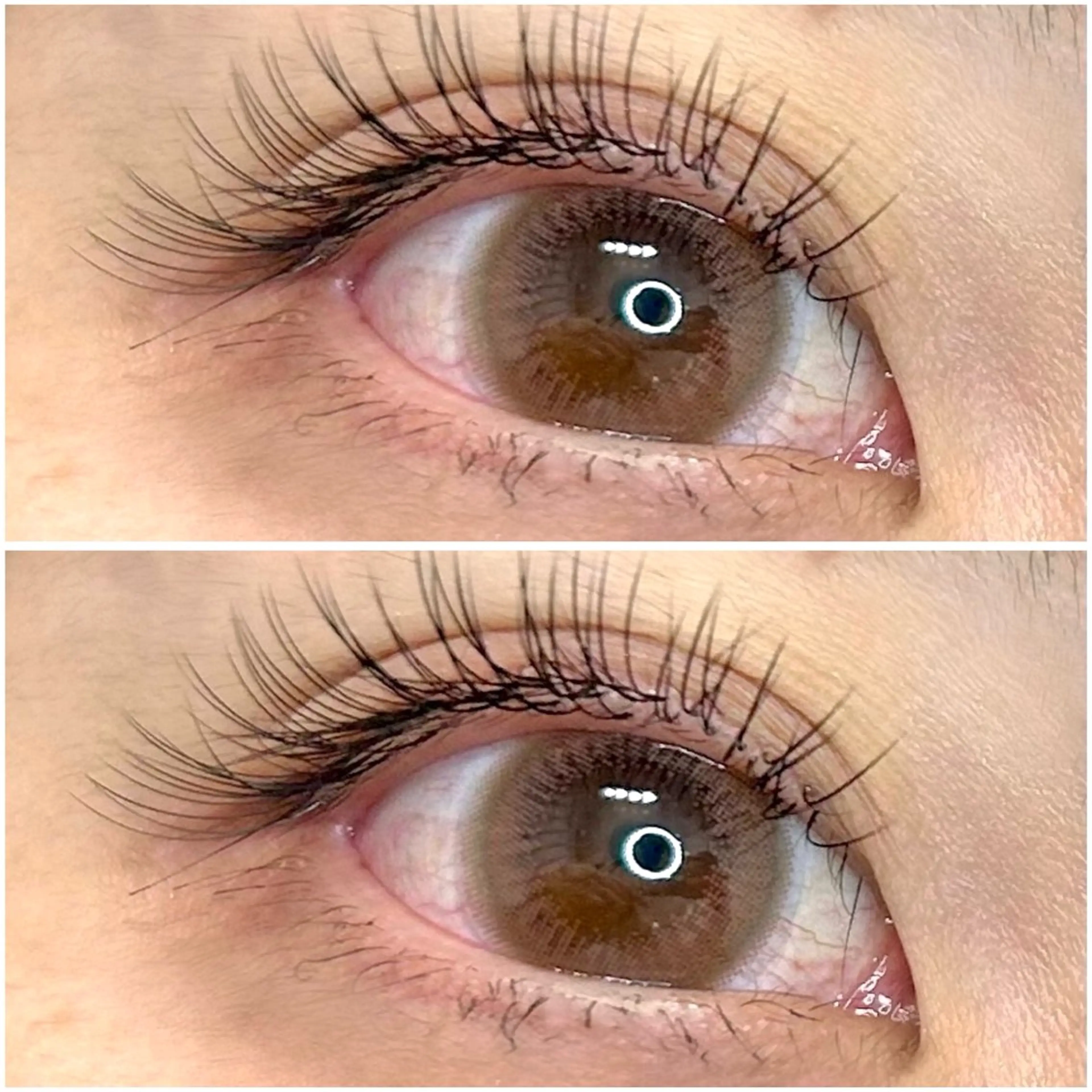 【ご新規様♪】フラット/セーブル(選べる)80本 ¥4300の写真