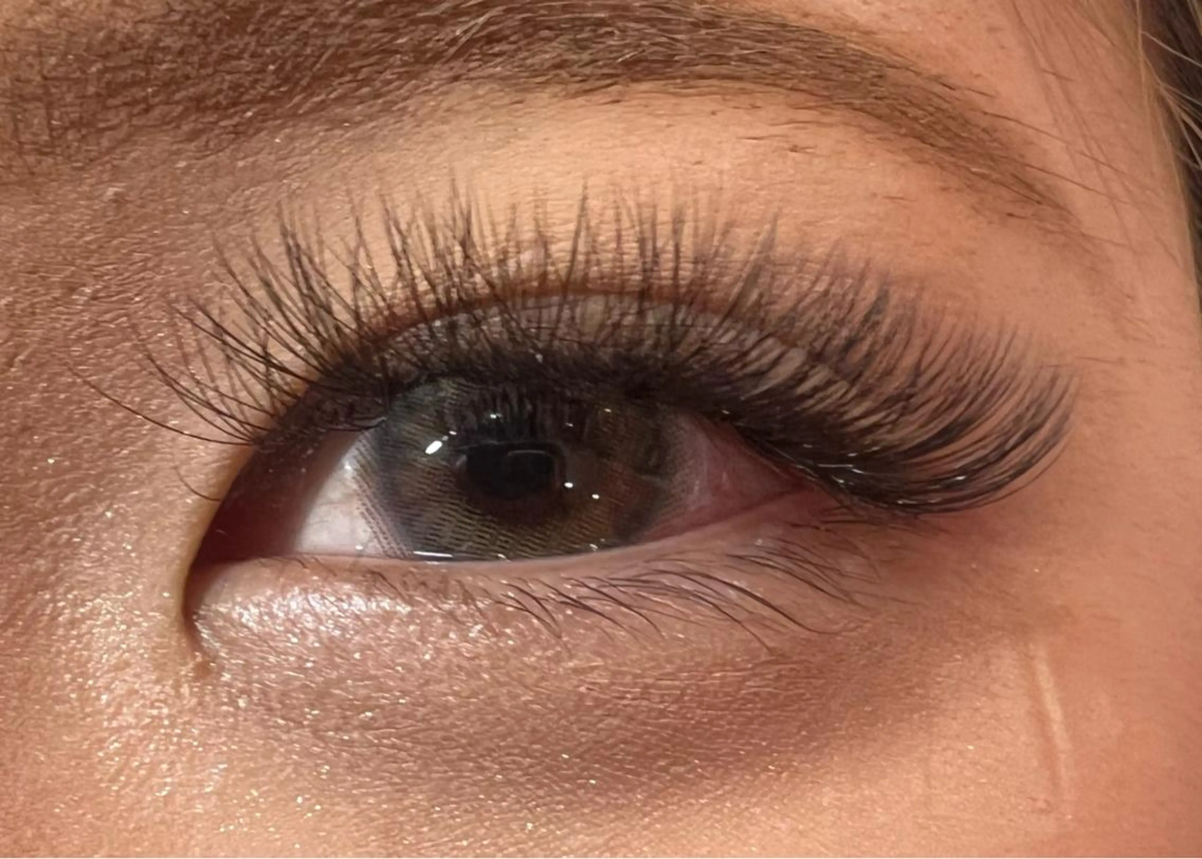 マツエク・マツパ ボリュームラッシュ 🧸Celeste Venusのマツエク・マツパデザイン