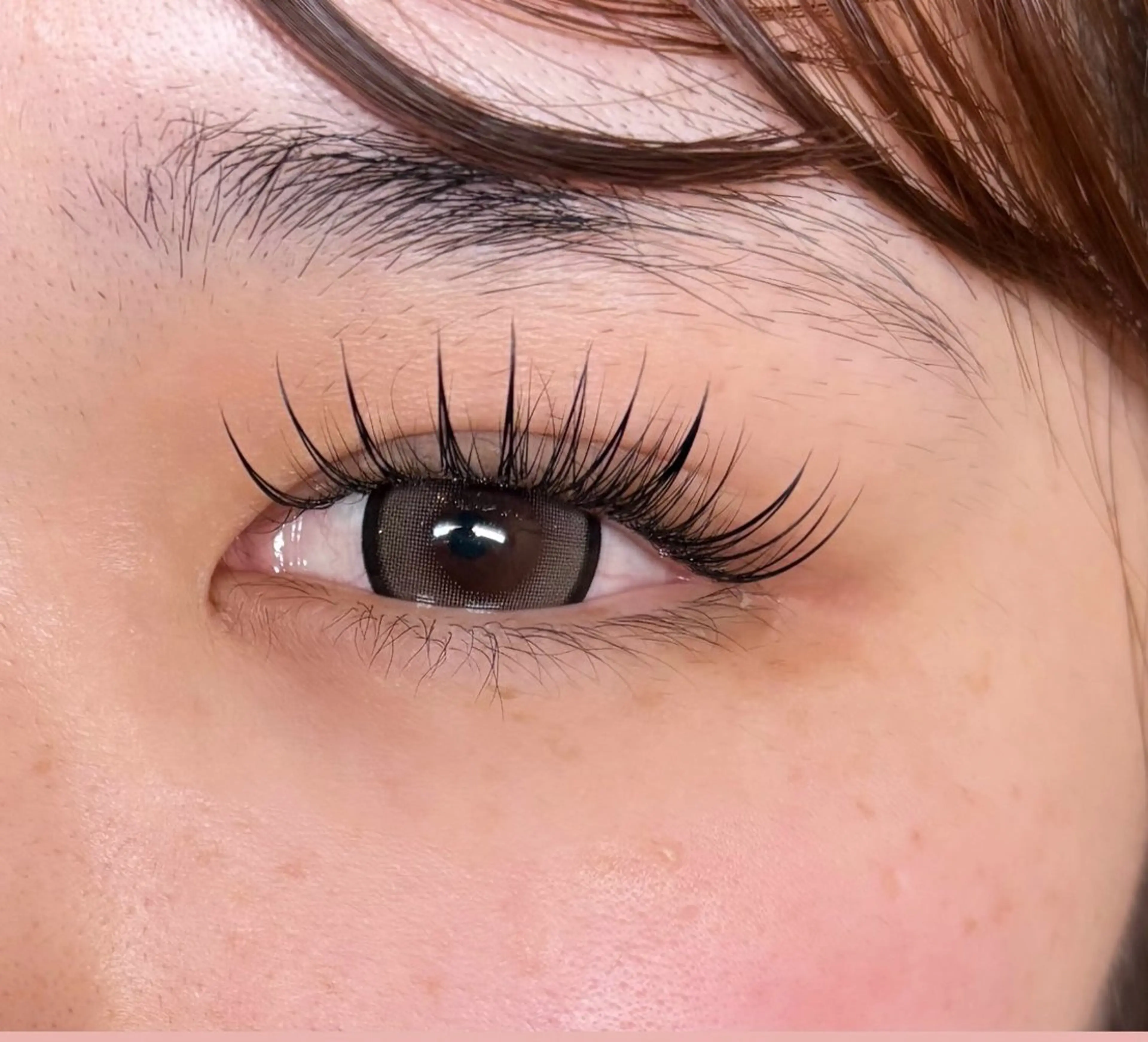 マツエク・マツパ パリジェンヌラッシュリフト マツエク YURINA🌹 amaranthのマツエク・マツパデザイン