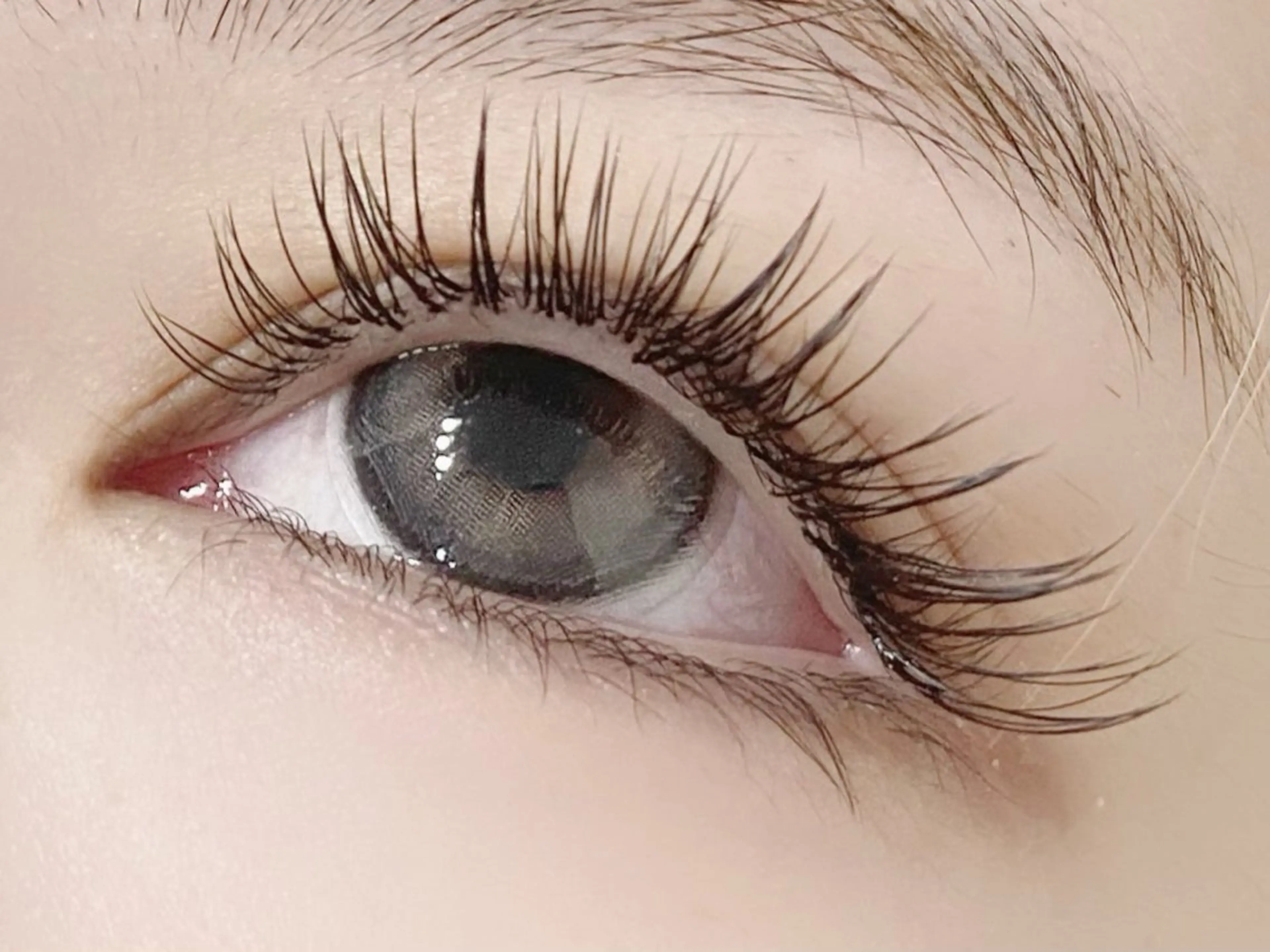 マツエク・マツパ 束感まつ毛 フラットラッシュ マツエク 💎マツエク/眉毛 パリジェンヌ渋谷💎の眉毛・アイブロウイメージ