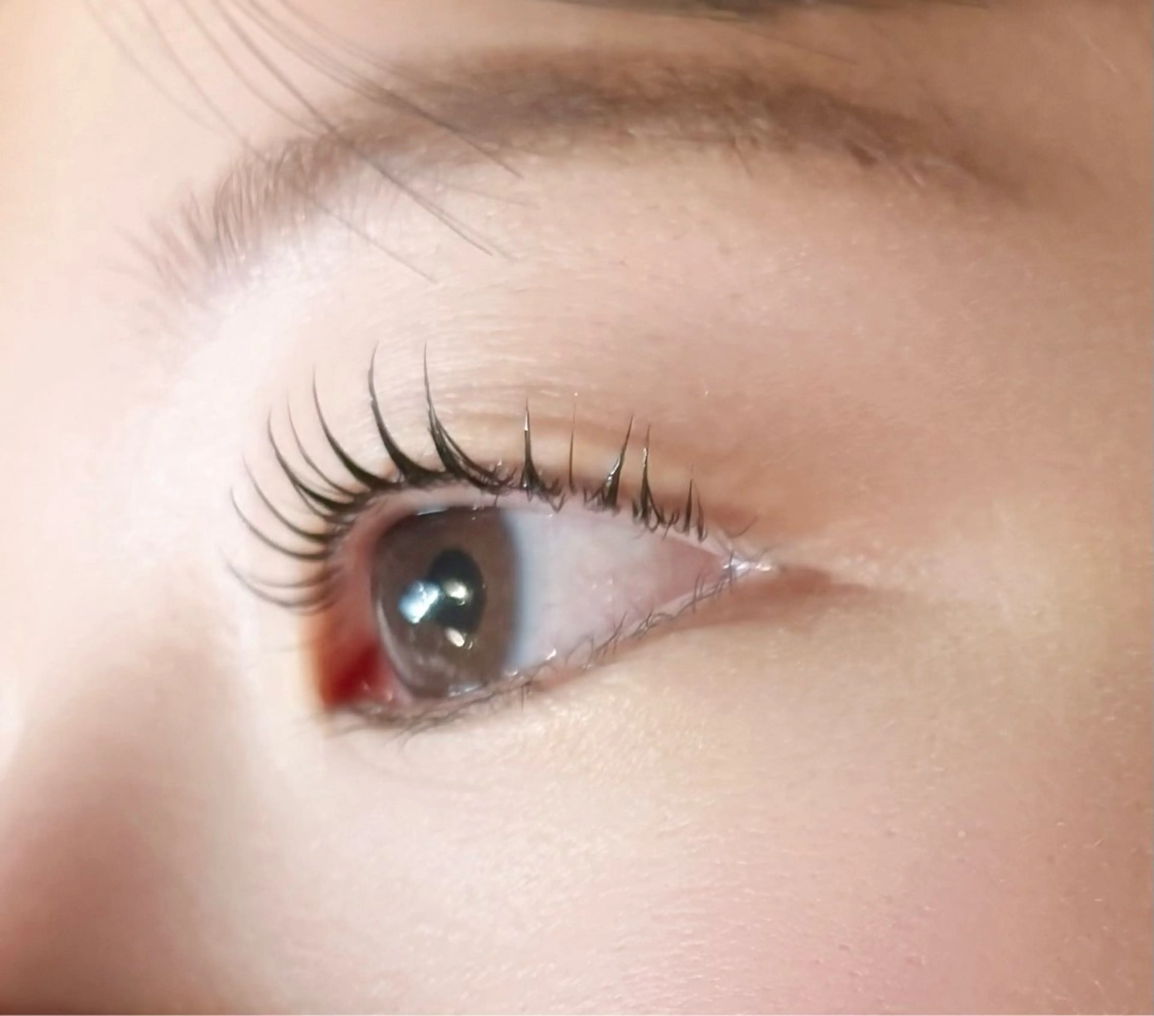 当日限定価格まつ毛パーマ🎶の写真