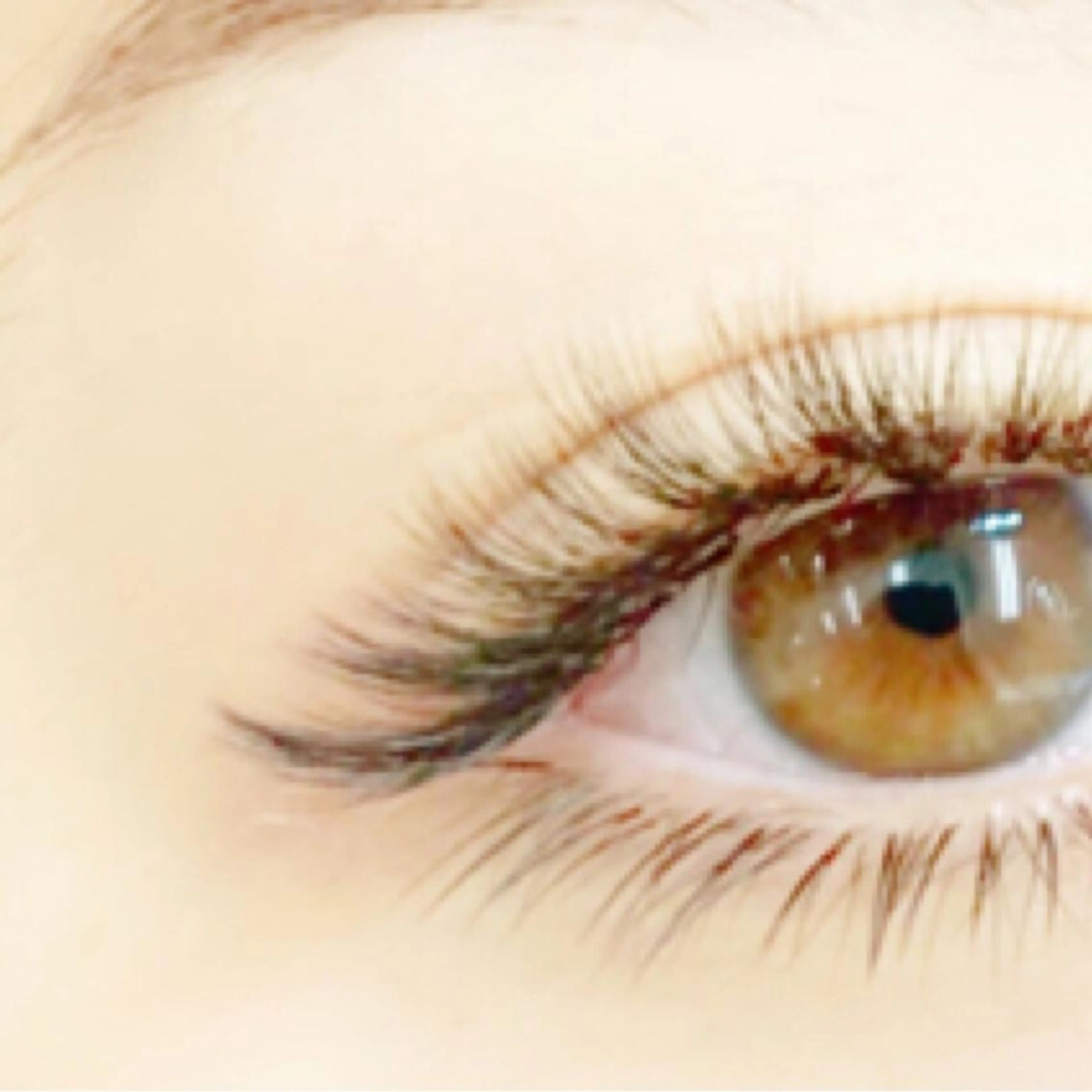 マツエク・マツパ eyelash- r🌹の眉毛・アイブロウイメージ