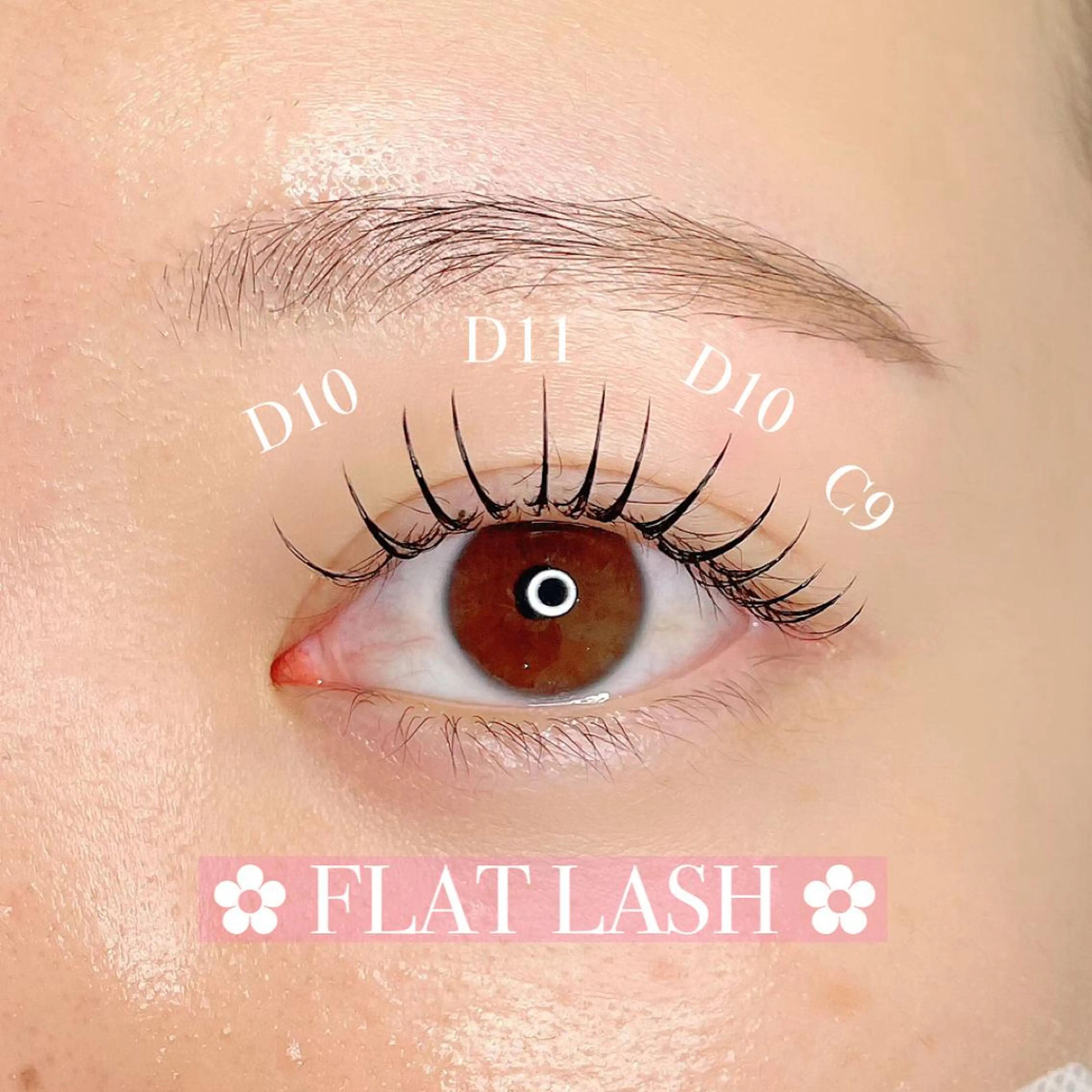 フラットラッシュ120本/下エクステ40本🍒の写真