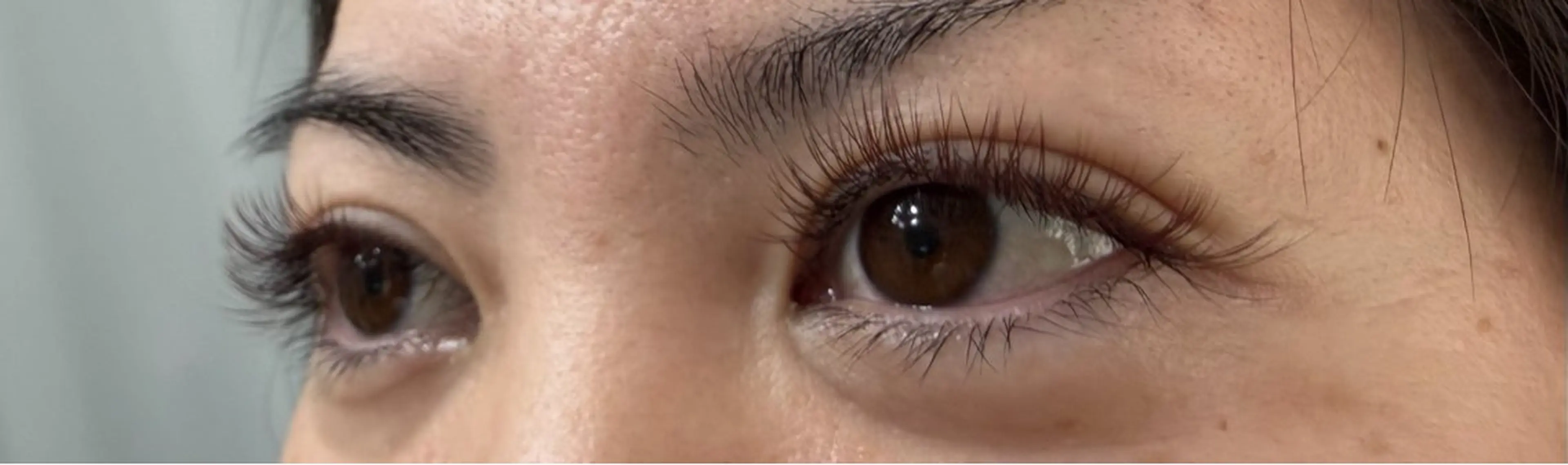 ブラウンのマツエク付け放題になります✨️の写真