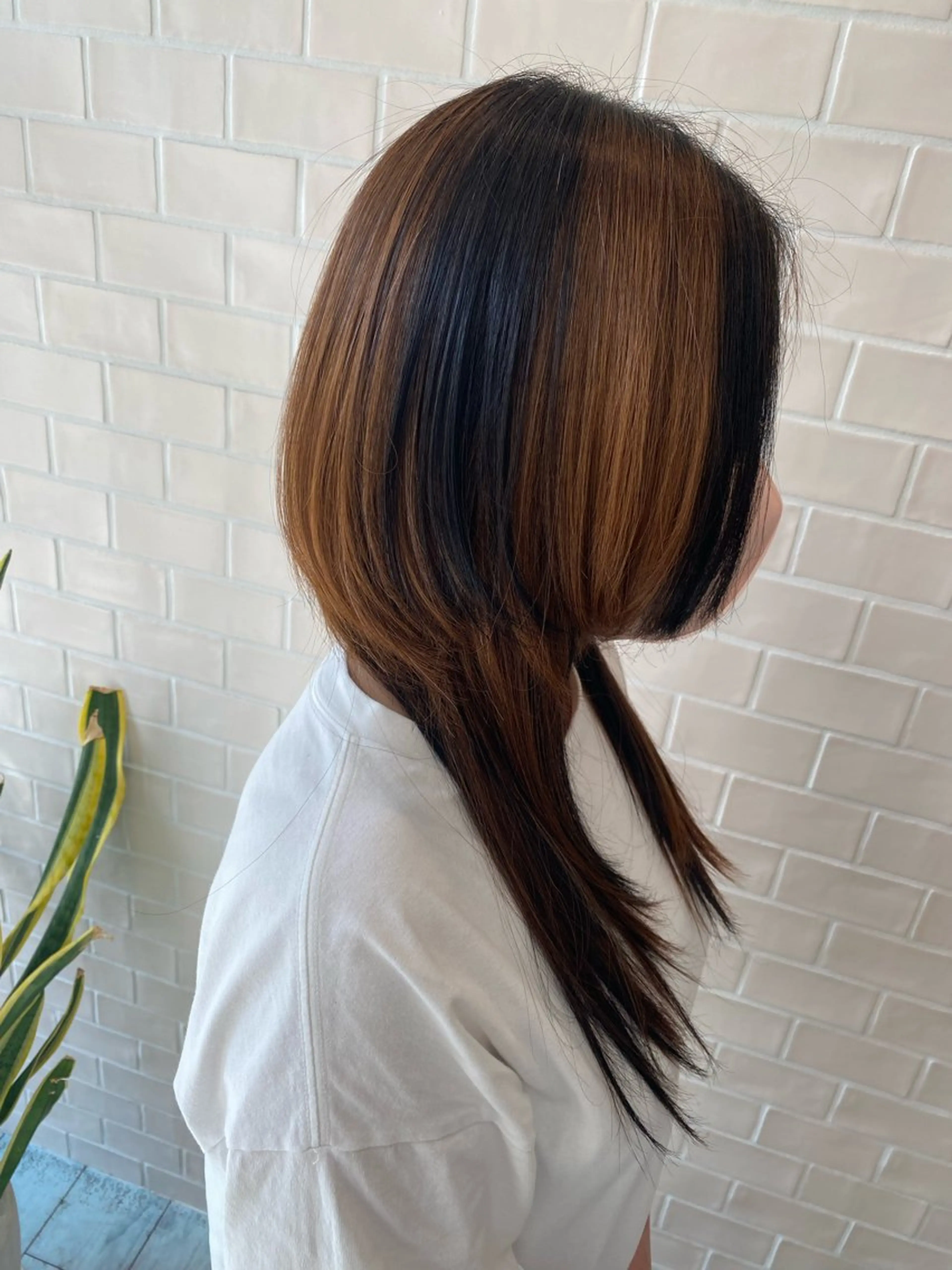 ミディアム カラー ウルフカット 國分 伸也のヘアスタイル