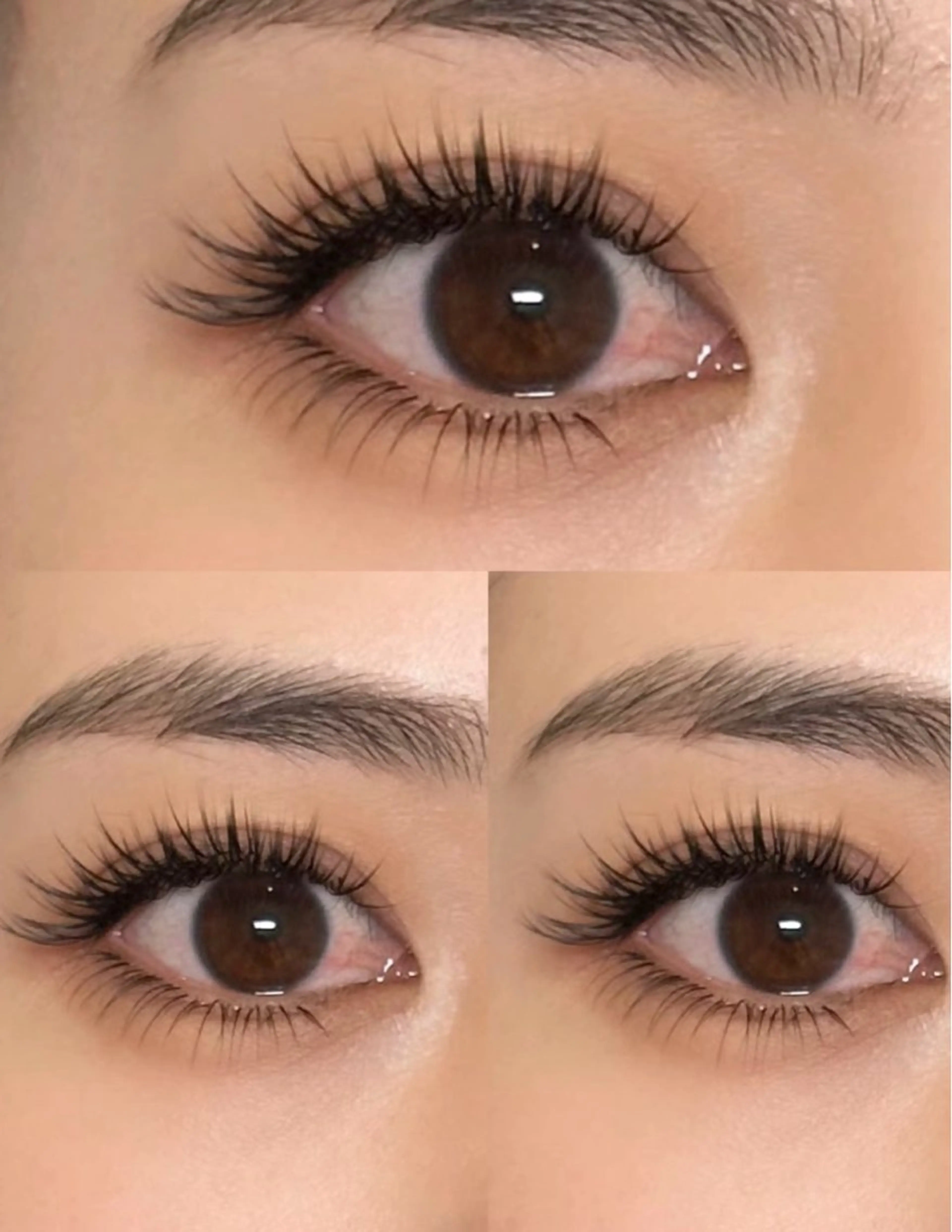 160本~ワンホンの写真