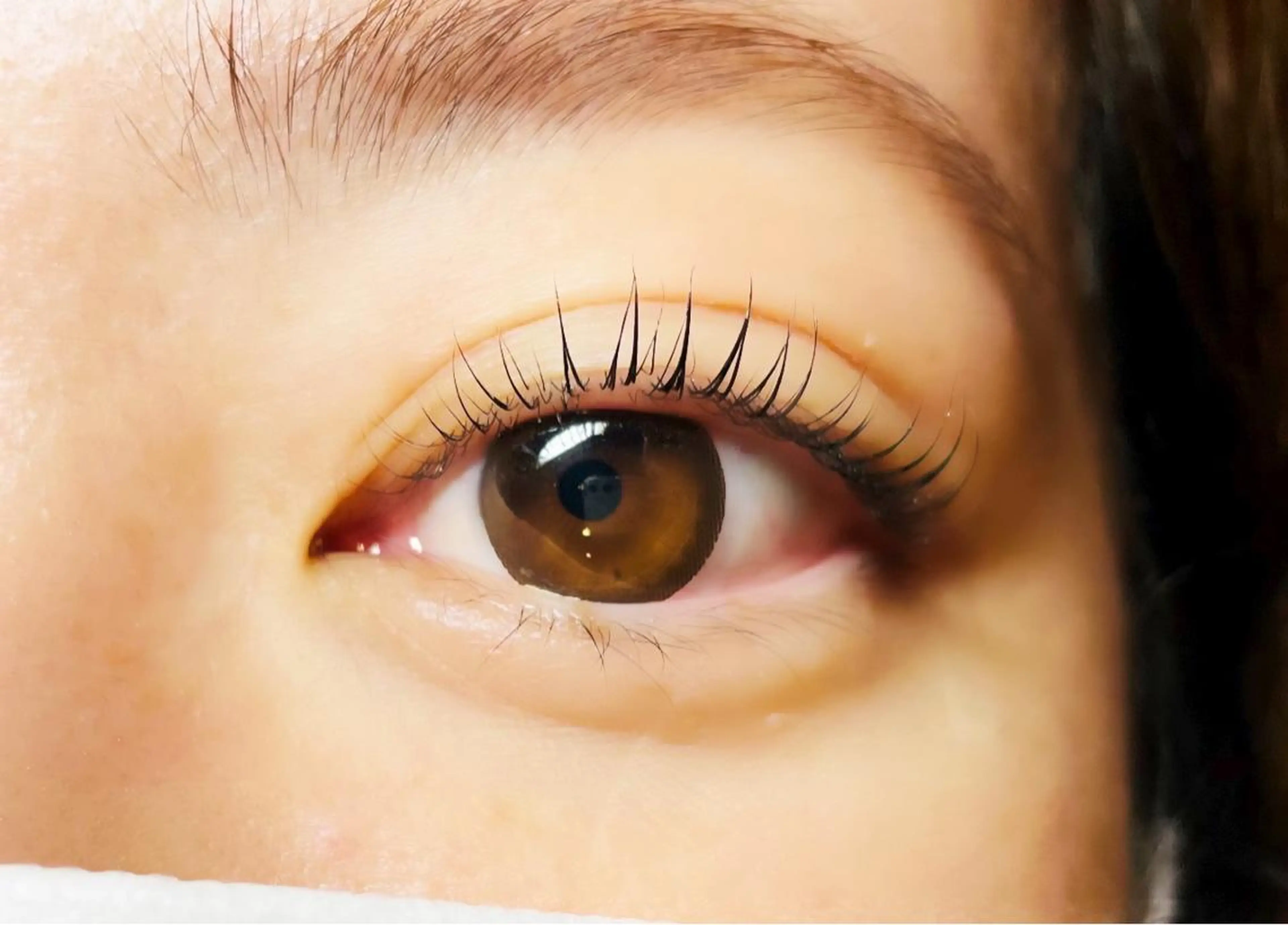 マツエク・マツパ マツパ 【Refine】 磯部のマツエク・マツパデザイン