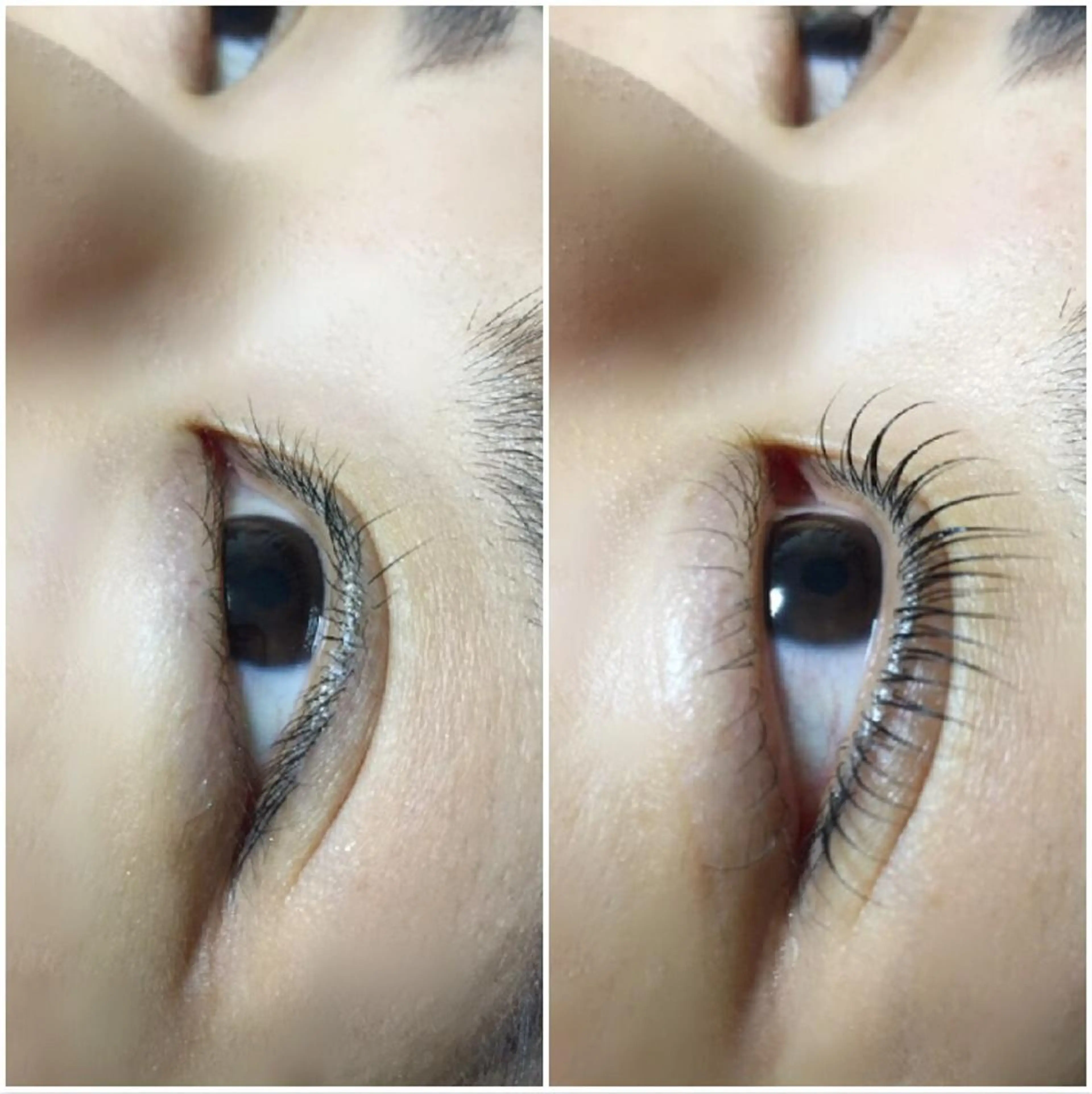 マツエク・マツパ まつげパーマ アイラッシュサロン エルアのマツエク・マツパデザイン
