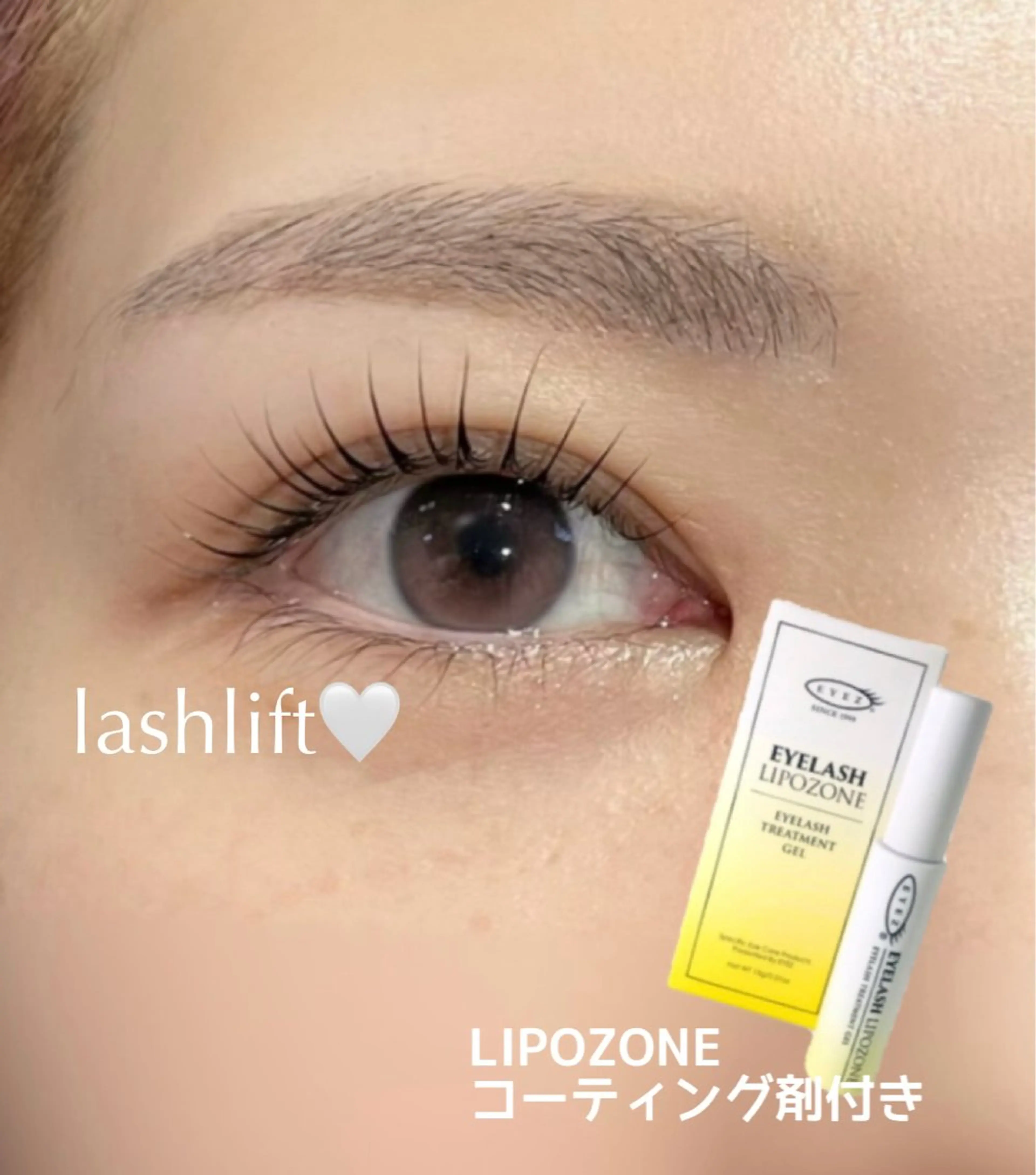 お得◎眉毛WAX(間引き〇) + 選べるまつ毛パーマ +お持ち帰りコーティング剤付き✦の写真