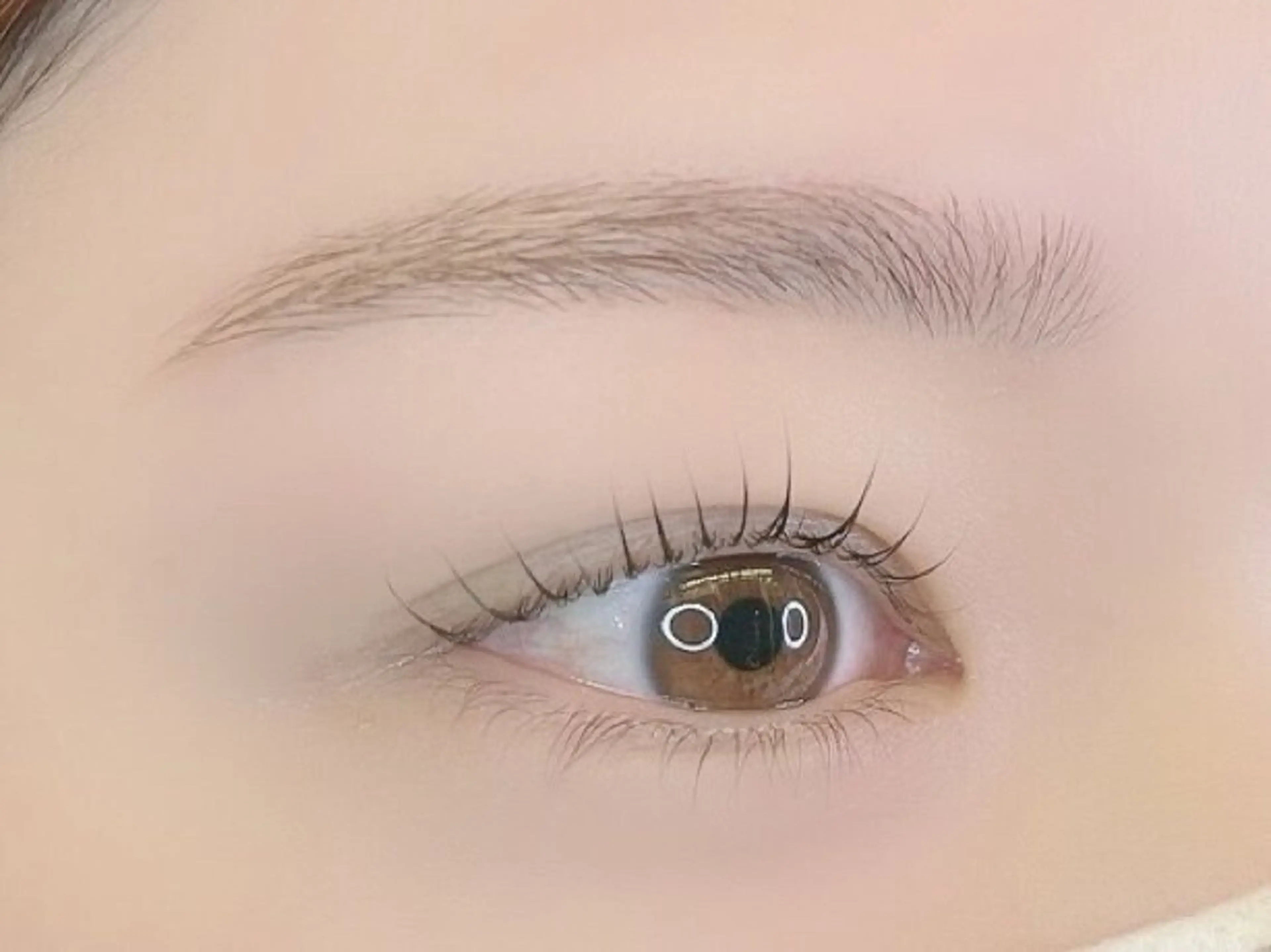 🍊🧡大人気メニュー!!ラッシュリフト+アイブロウワックス脱毛【新宿御苑前】🧡🍊の写真