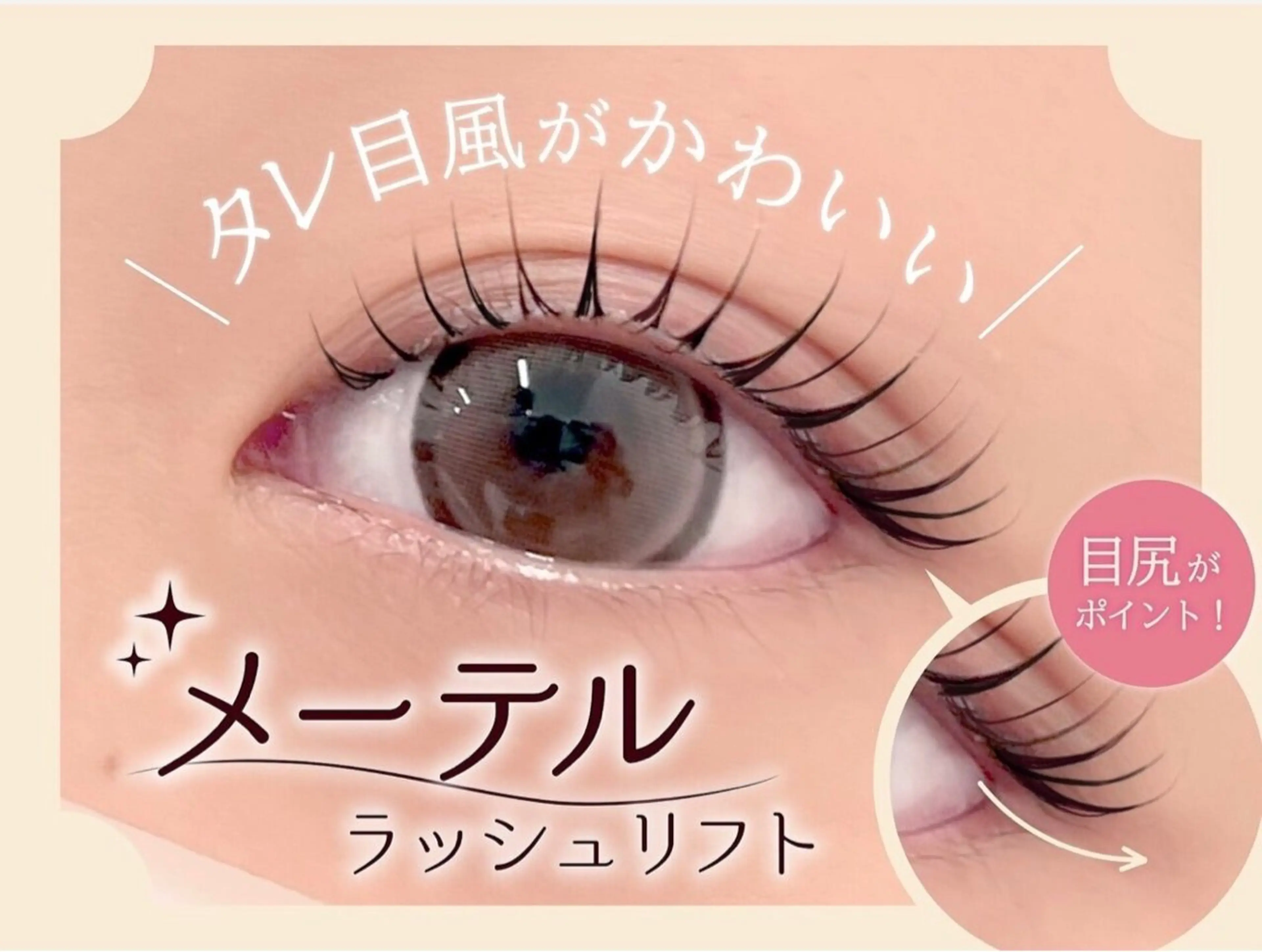 メーテルラッシュの写真