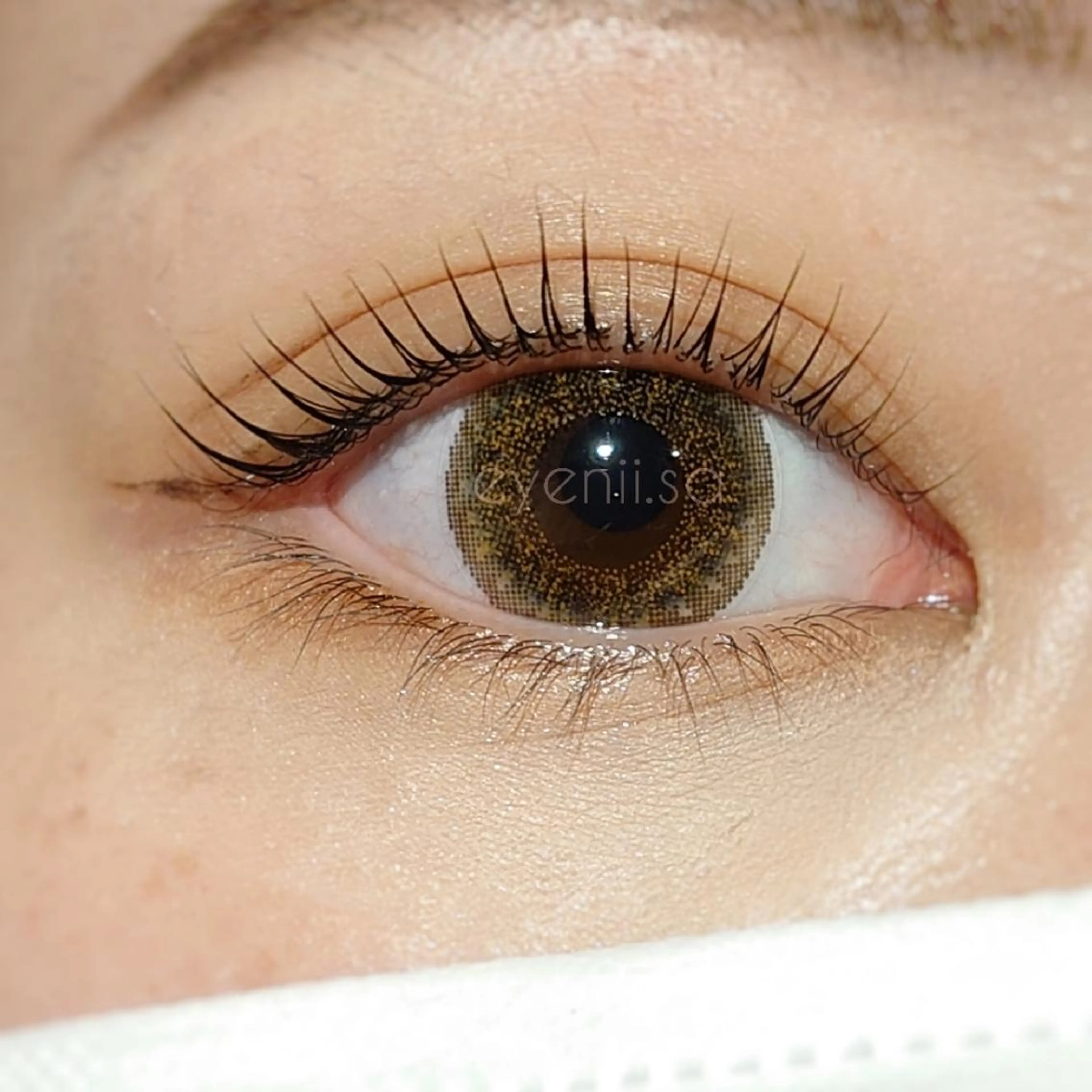 パリジェンヌラッシュリフト!1日キープ束仕上げコーティング無料!の写真