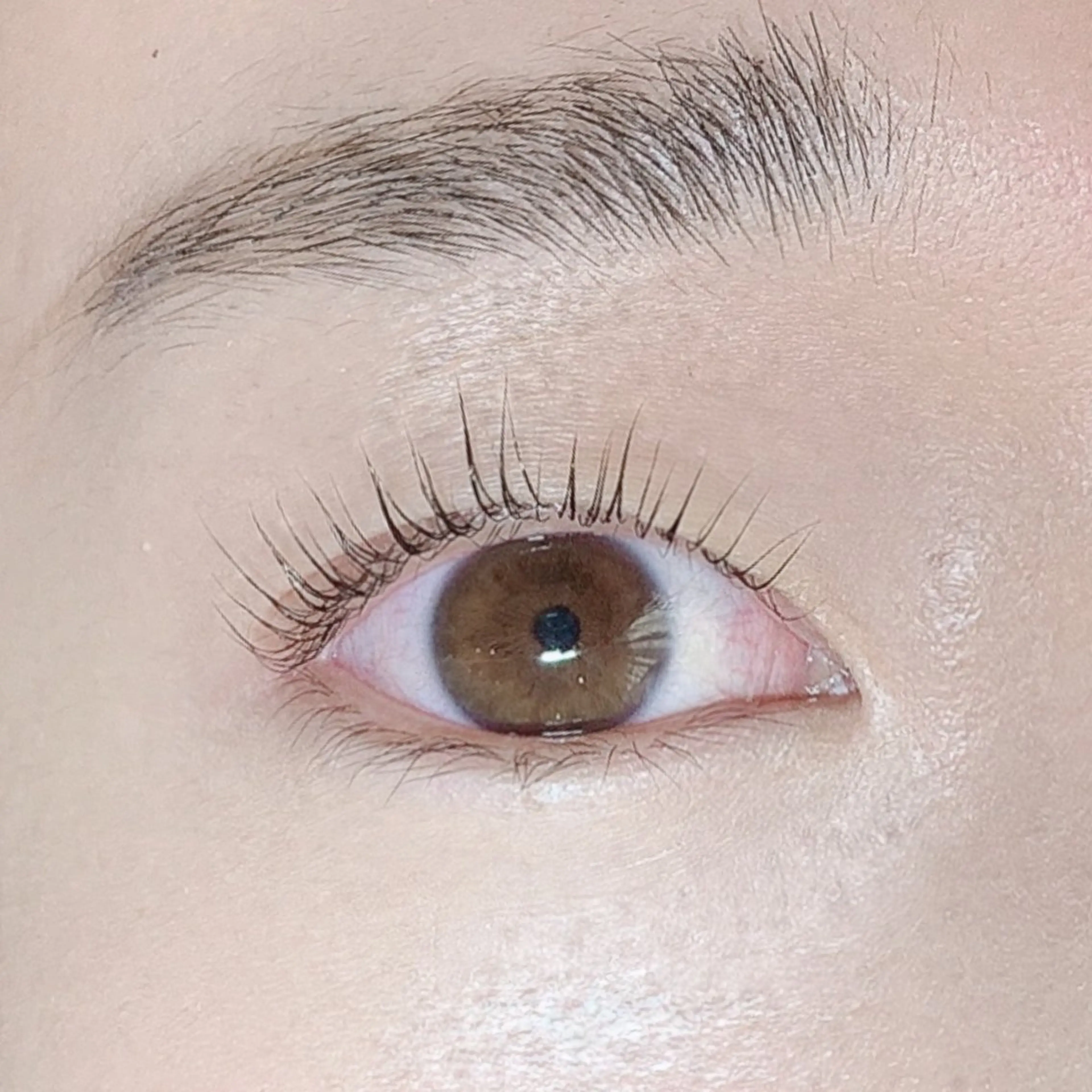 マツエク・マツパ マツパ komatsu 🫧のマツエク・マツパデザイン