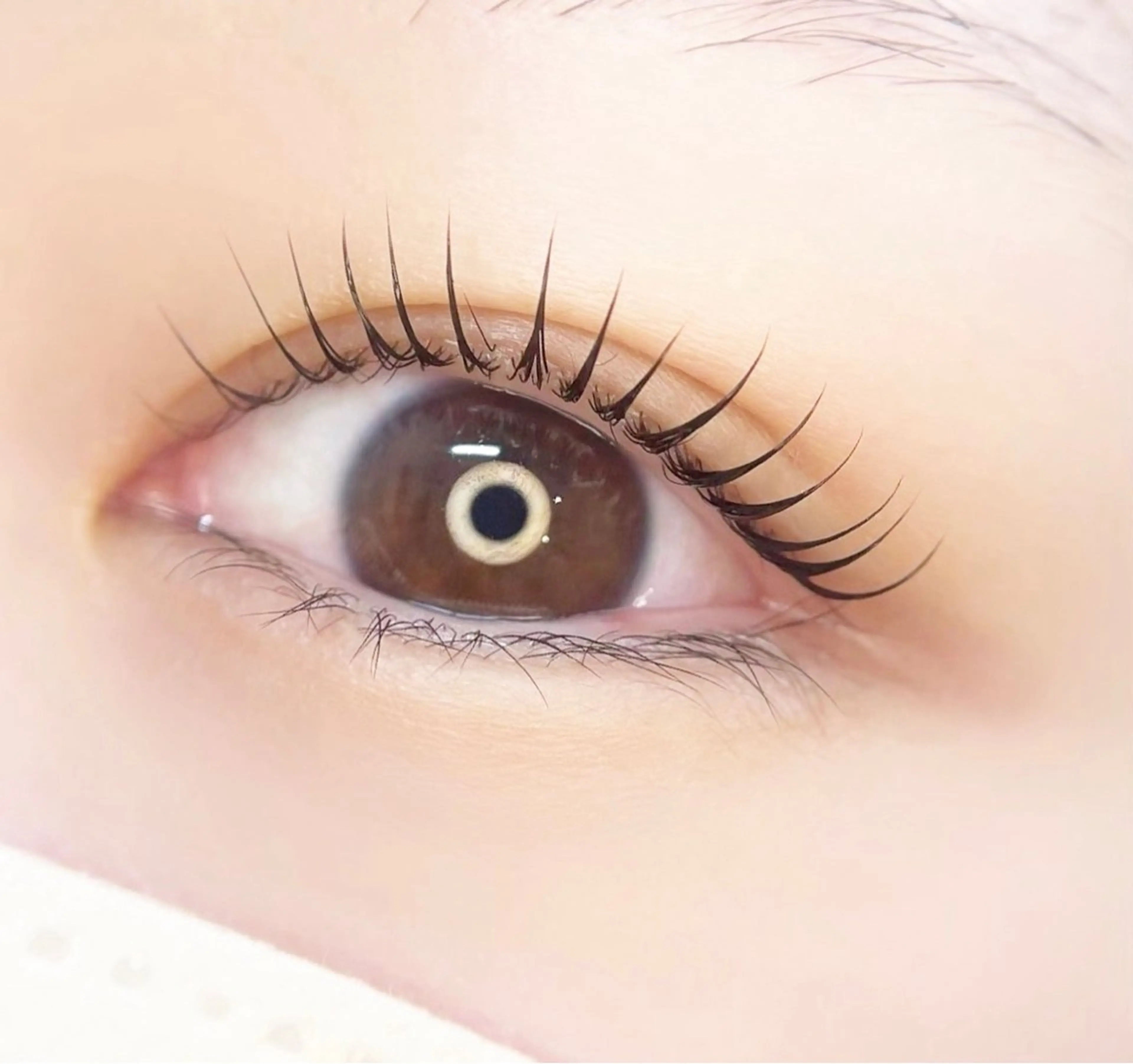 まつげエクステオフ+ラッシュリフト/カールの写真