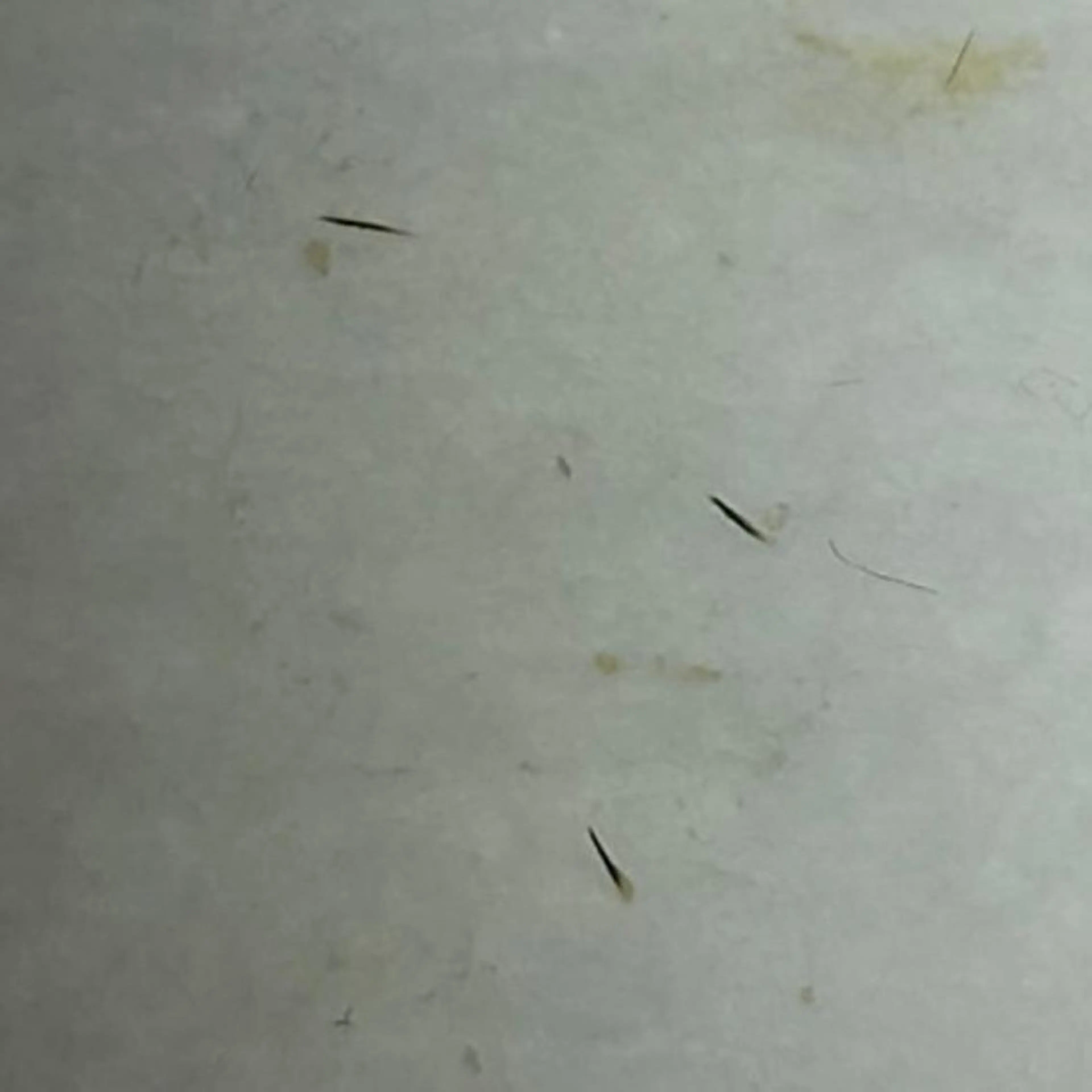 毛穴ケア専門店 Cynthiaのエステ・リラクイメージ