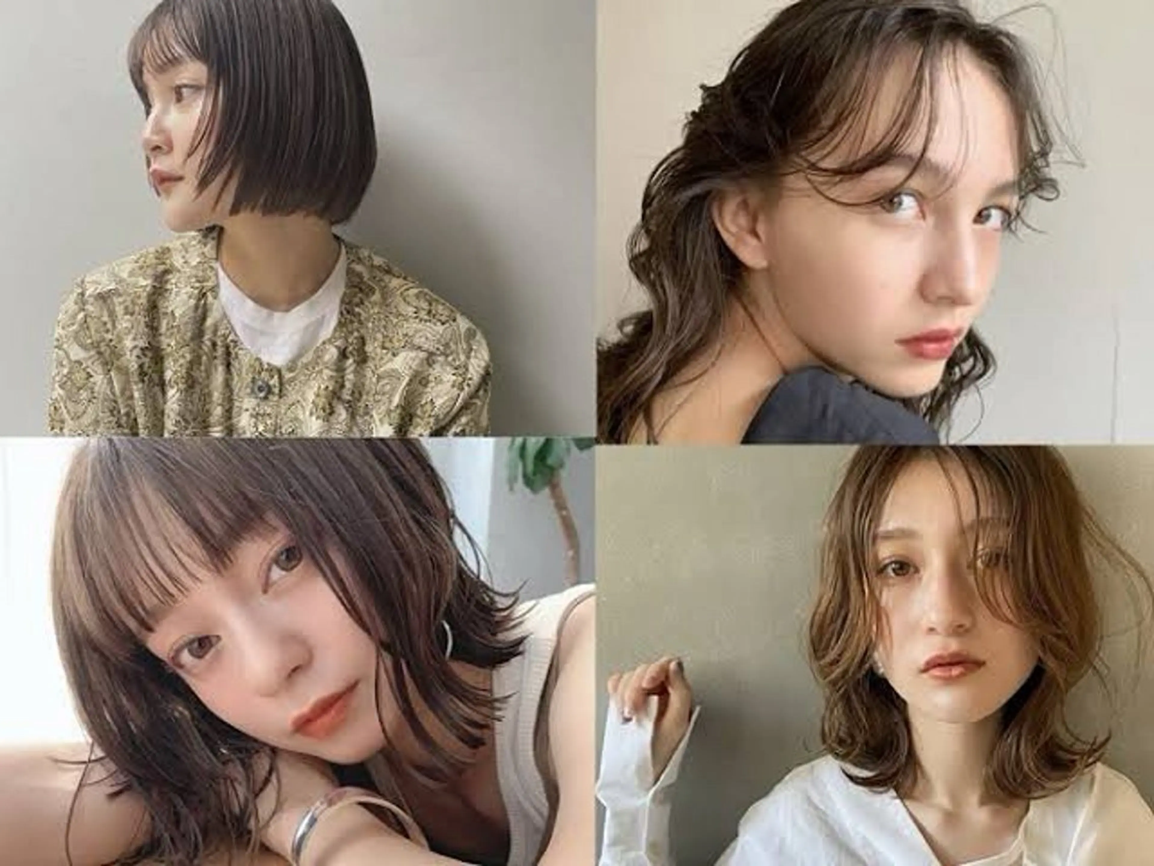 ミディアム カット ヘアカラー トリートメント 合志宗真/店長 /新規指名No.1のヘアスタイル