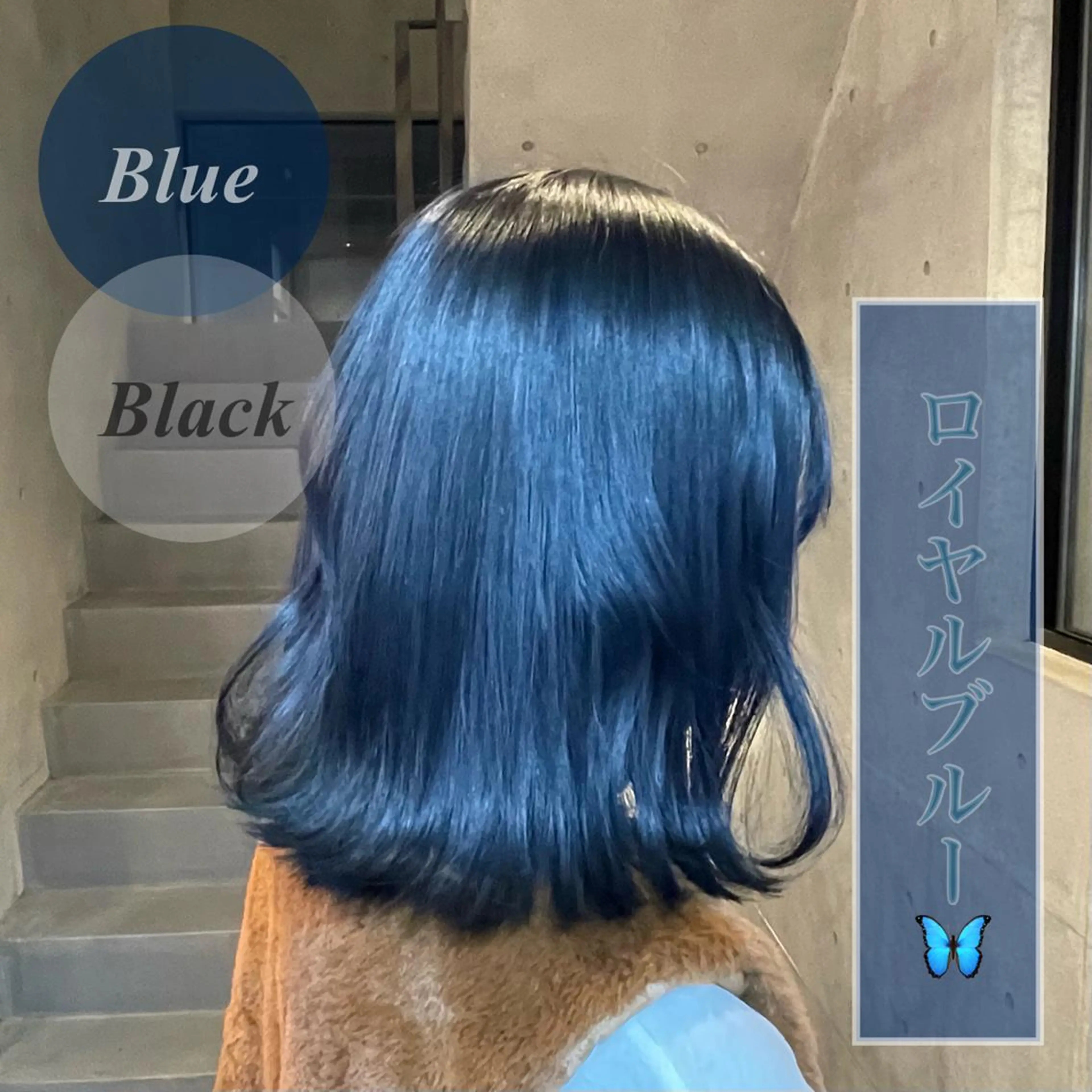 ミディアム カラー ✨レイヤー/透明感 /豊嶋里緒✨のヘアスタイル