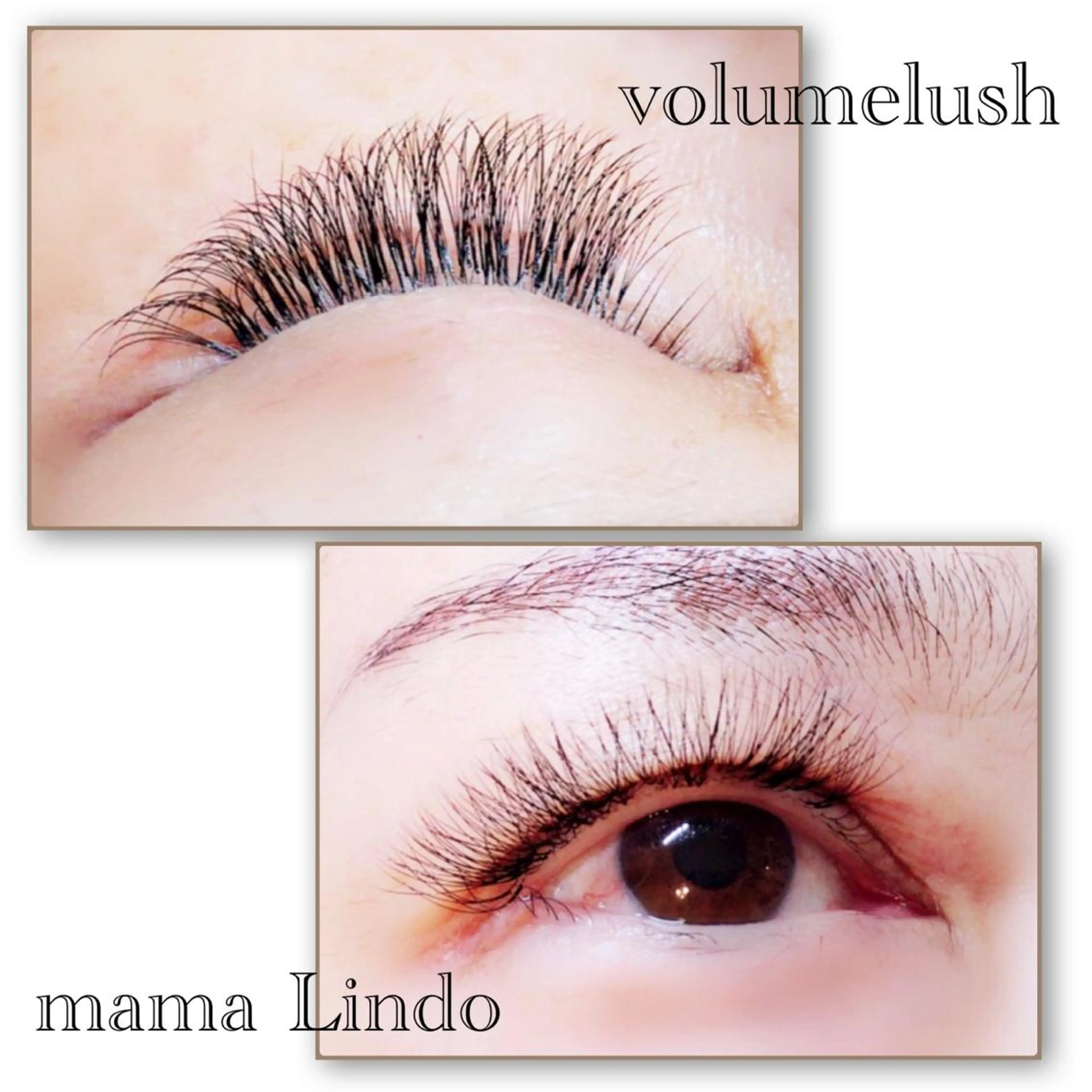 マツエク・マツパ マツエク mama Lindo所属・谷口 沙希のマツエク・マツパデザイン