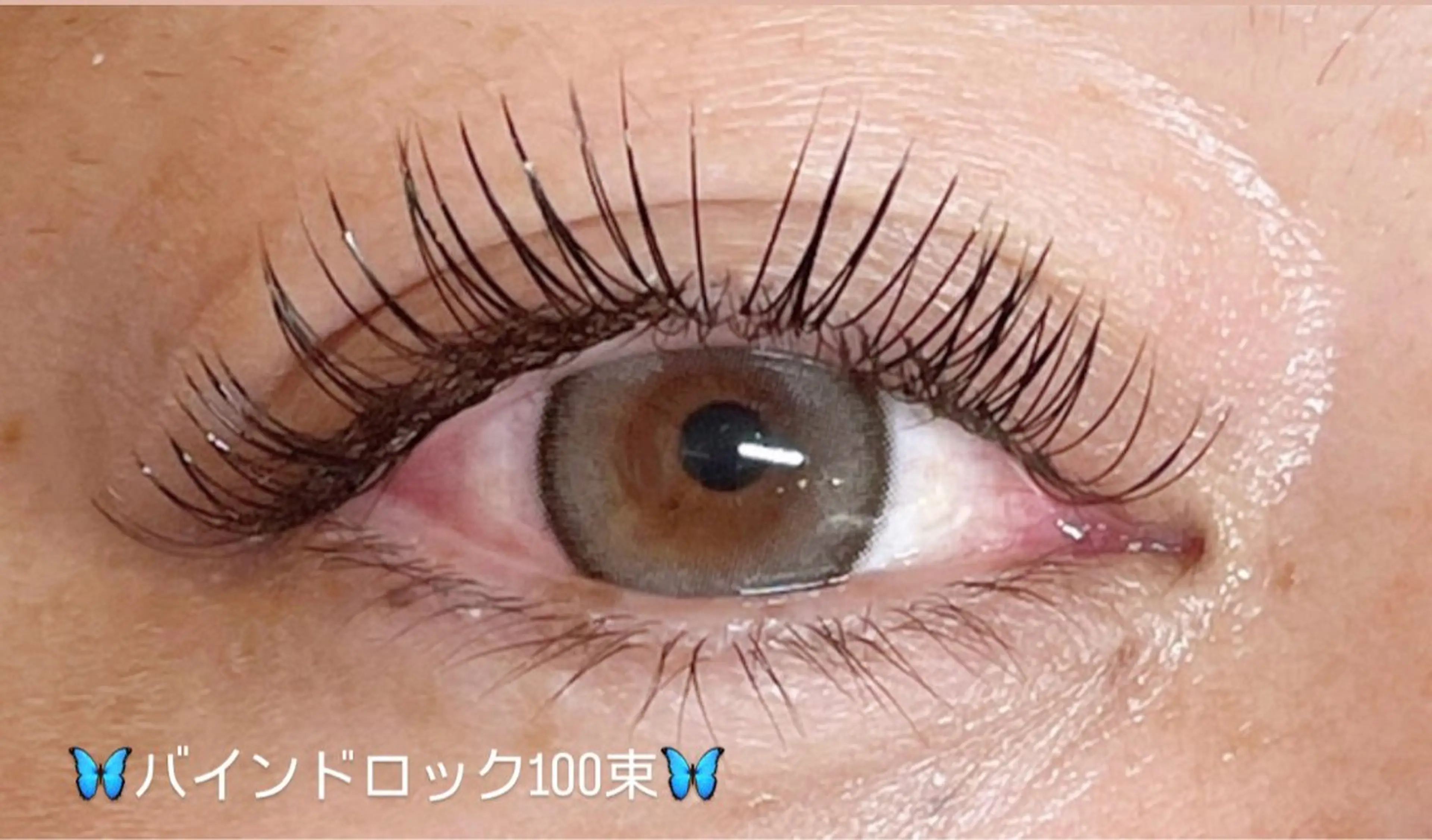 マツエク・マツパ Butterfly 平塚店　中島のマツエク・マツパデザイン