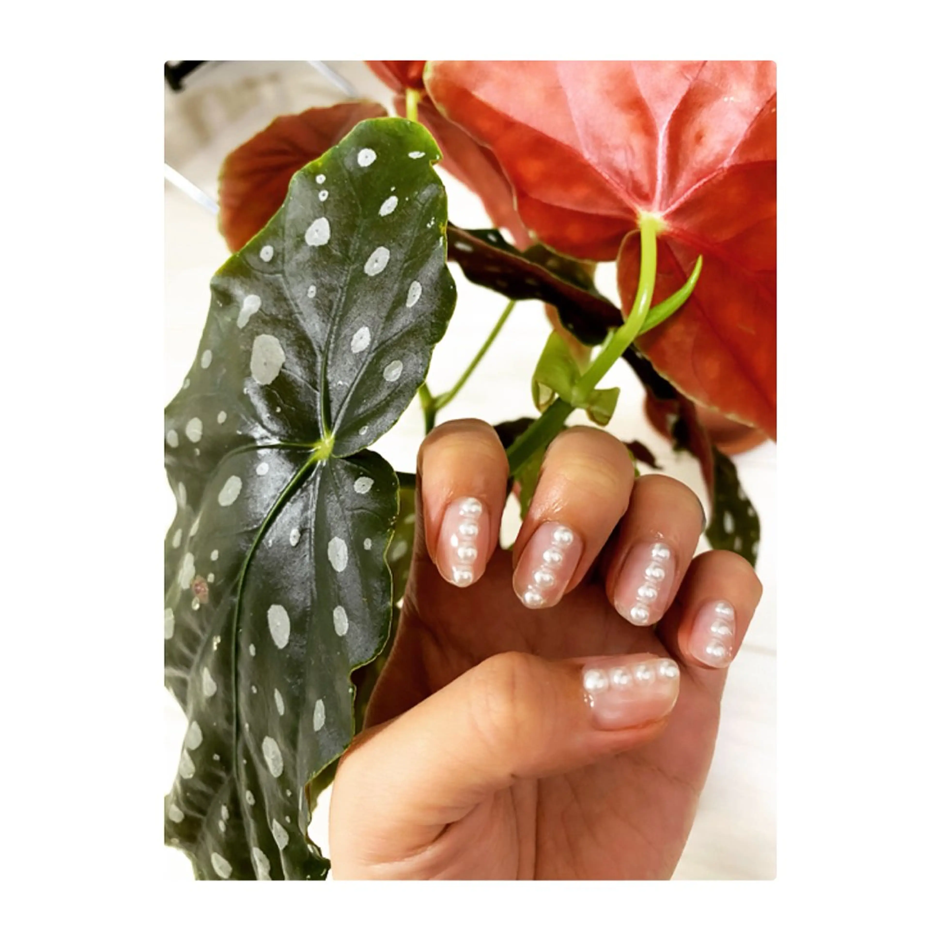 ネイル y mikuのネイルデザイン