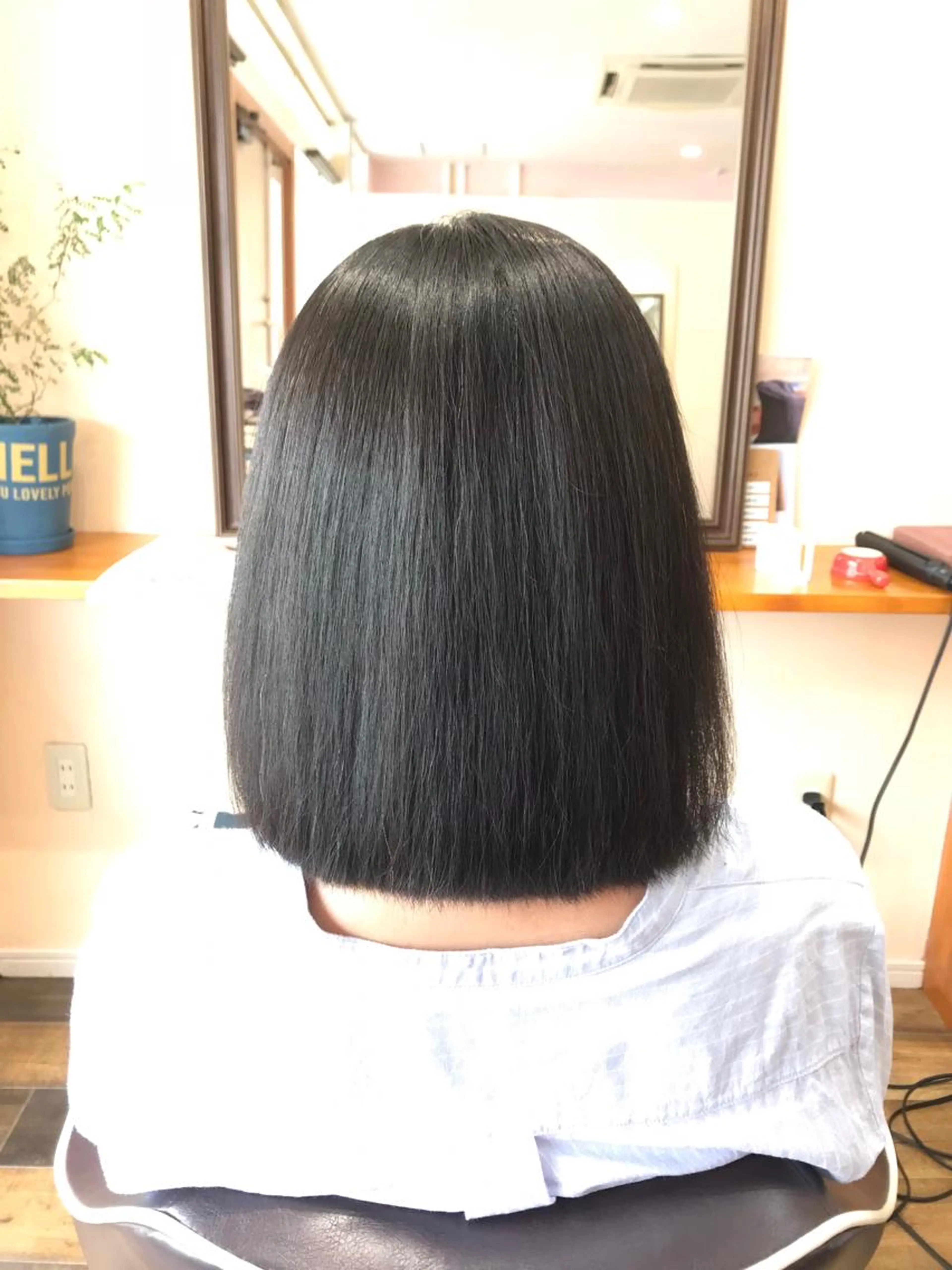 4ステップシステムトリートメント⭐️コアミートリートメント⭐️の写真