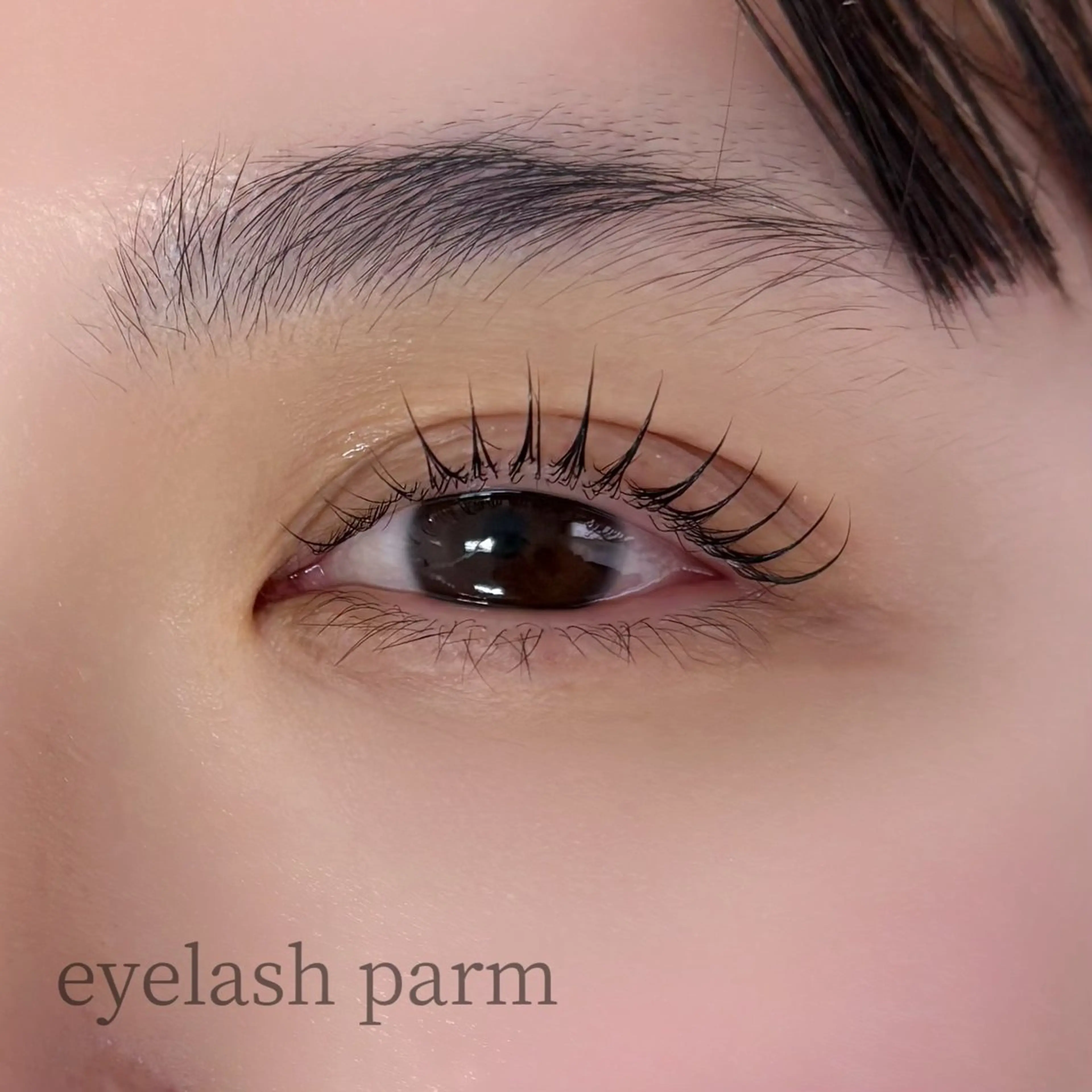 マツエク・マツパ 一重×まつ毛パーマ signpost 鈴木のマツエク・マツパデザイン