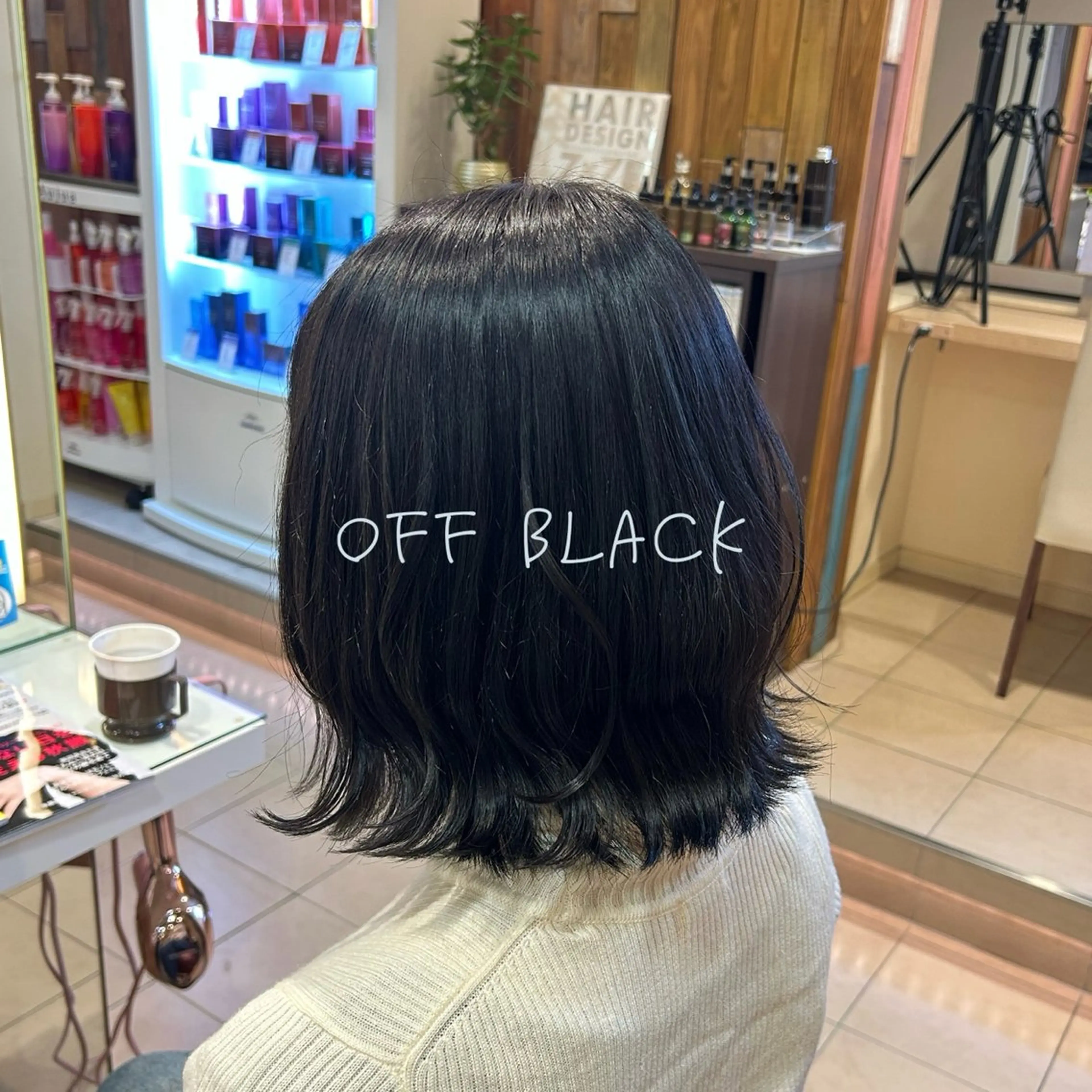 カラー 黒髪 ブルーカラー ブルーブラック ヘアセット/ミニボブ /レイヤー 山田寛菜のヘアスタイル