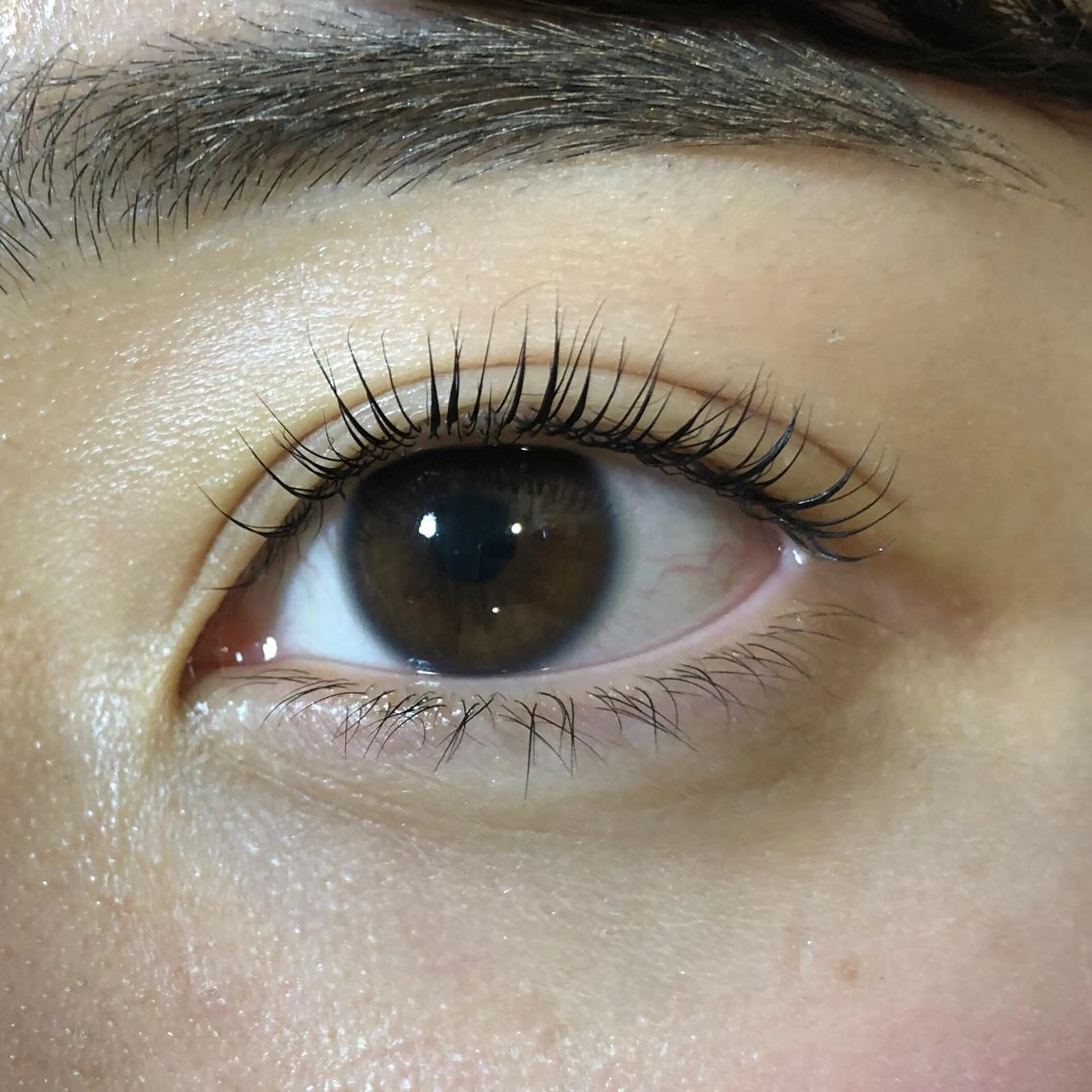 マツエク・マツパ キュート 飯田/Tomo's HairDesignのマツエク・マツパデザイン