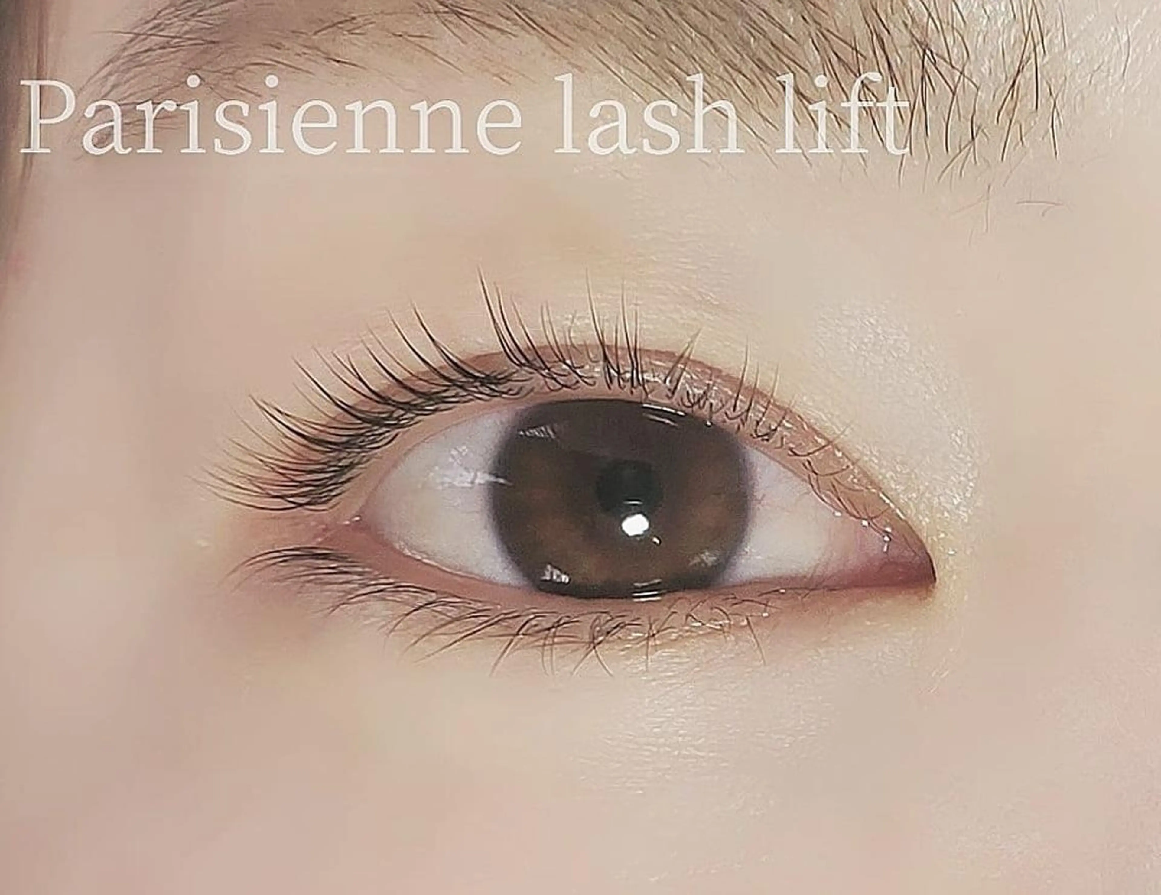 マツエク・マツパ LATTE eyelashのマツエク・マツパデザイン