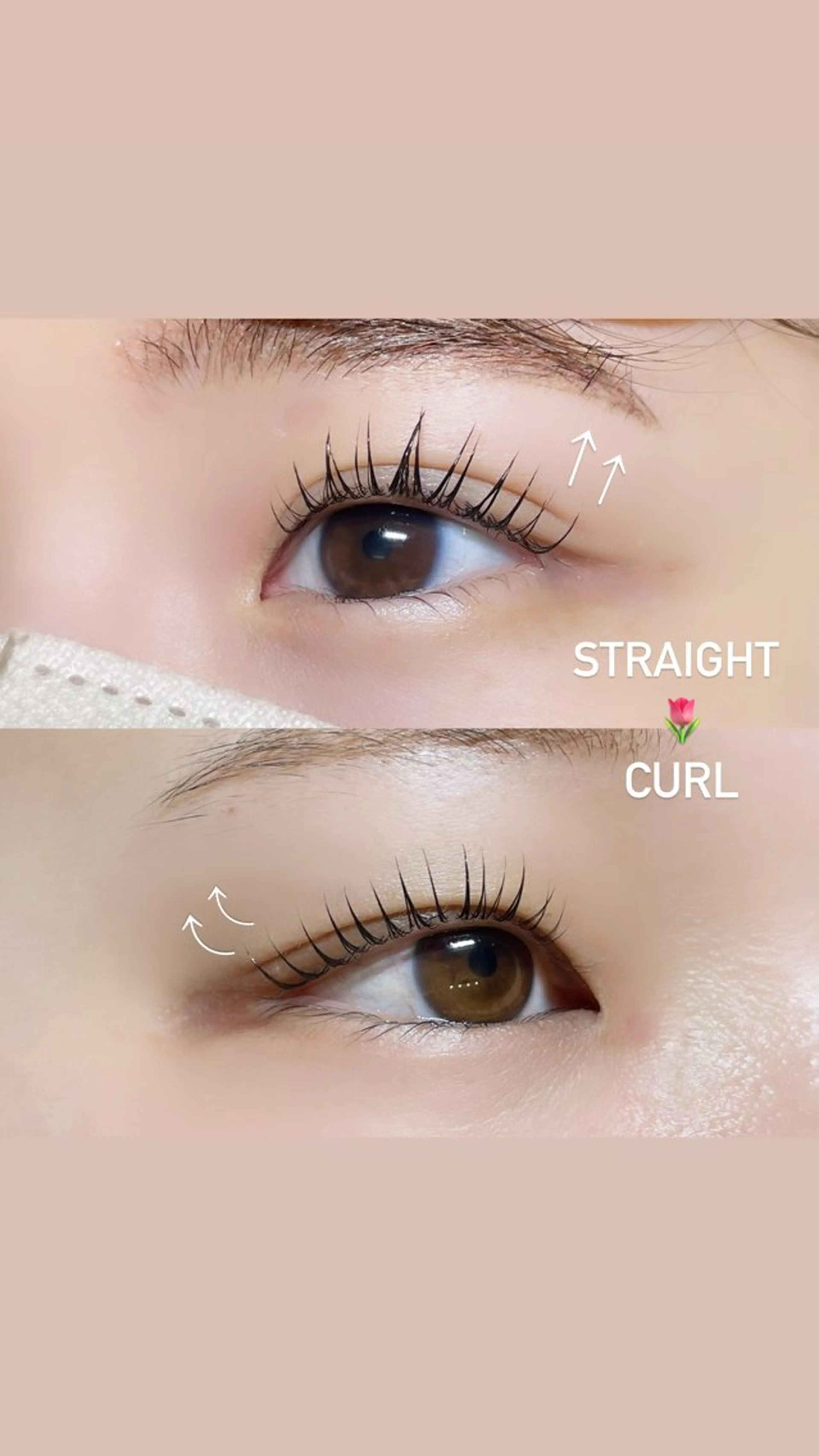 マツエク・マツパ バインドロック フラットラッシュ 韓国風マツエク パリジェンヌラッシュリフト まつげパーマ sua所属・noilashroo m恵比寿🎀Rukaのマツエク・マツパデザイン