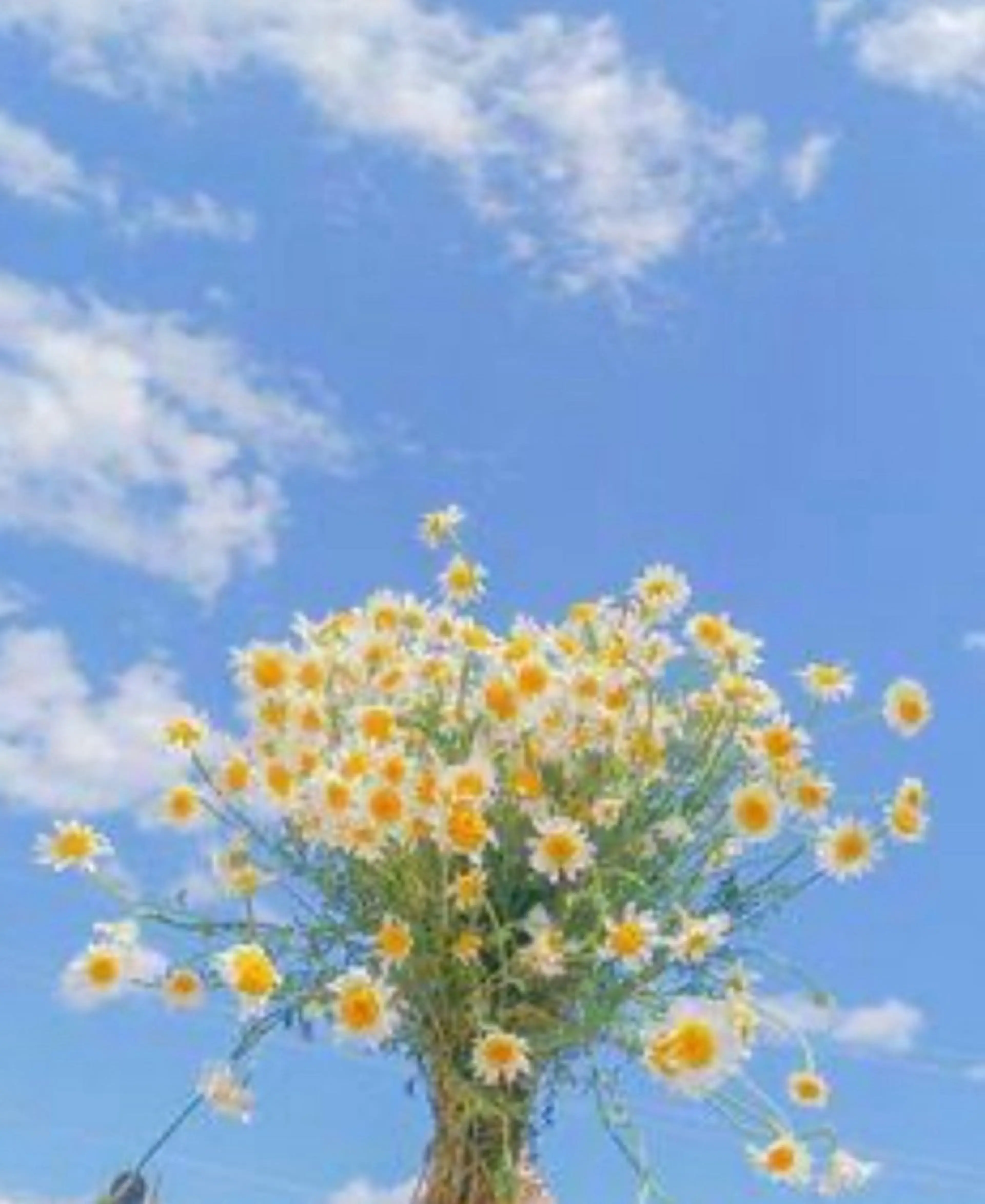 パーマ メンズ Amour Akala .hk　（アムールアカラ）所属・Amour Akala.hkのヘアスタイル