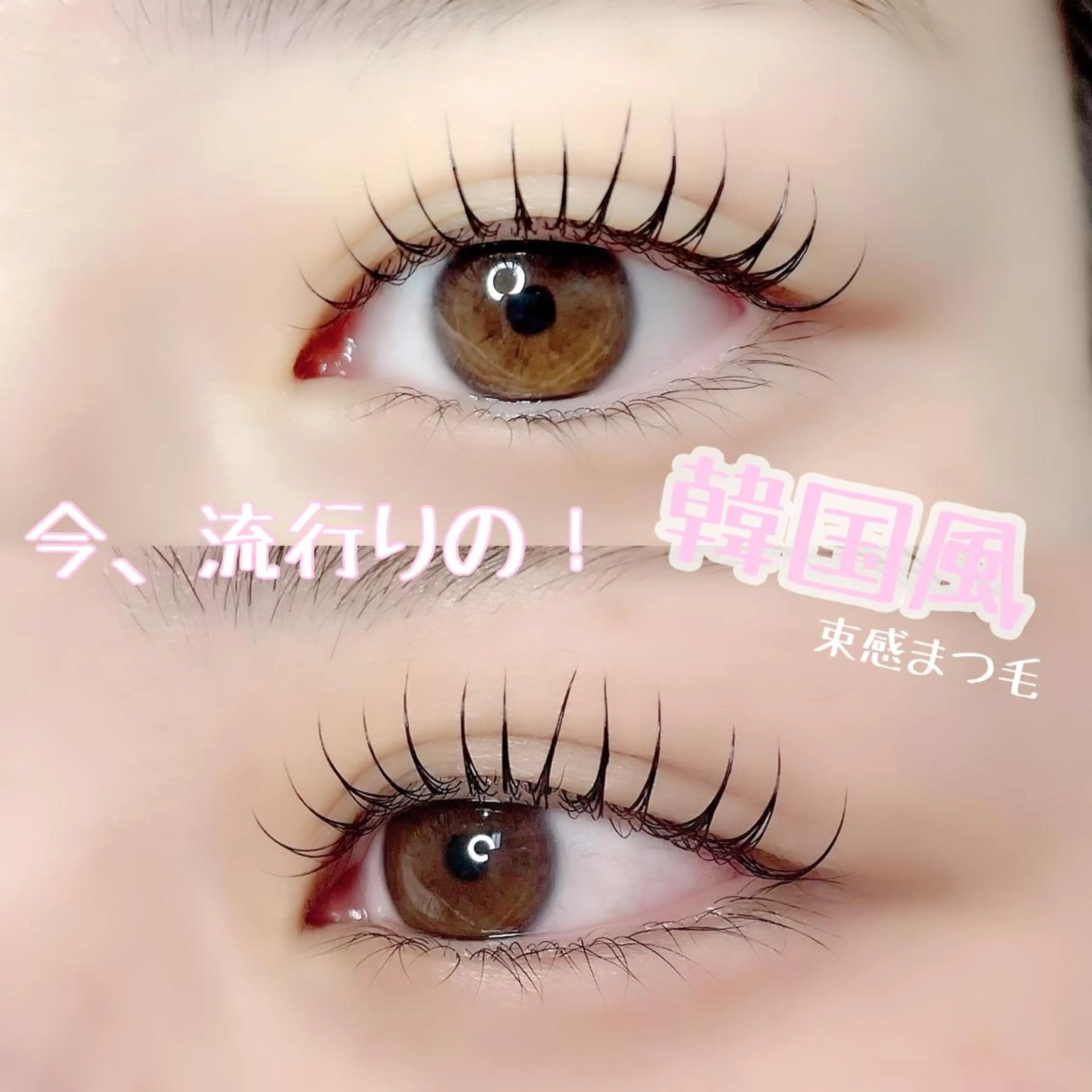 マツエク・マツパ 束感まつ毛 韓国風マツエク パリジェンヌラッシュリフト まつげパーマ 一重×まつ毛パーマ Blanche  / yuiのマツエク・マツパデザイン